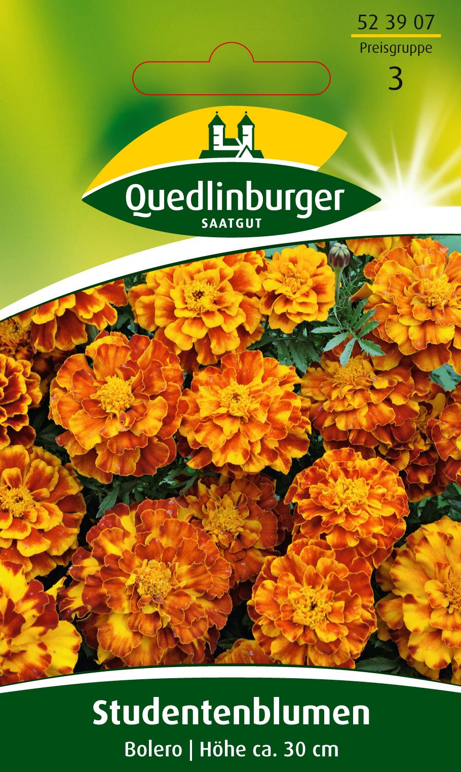 Studentenblumen Bolero