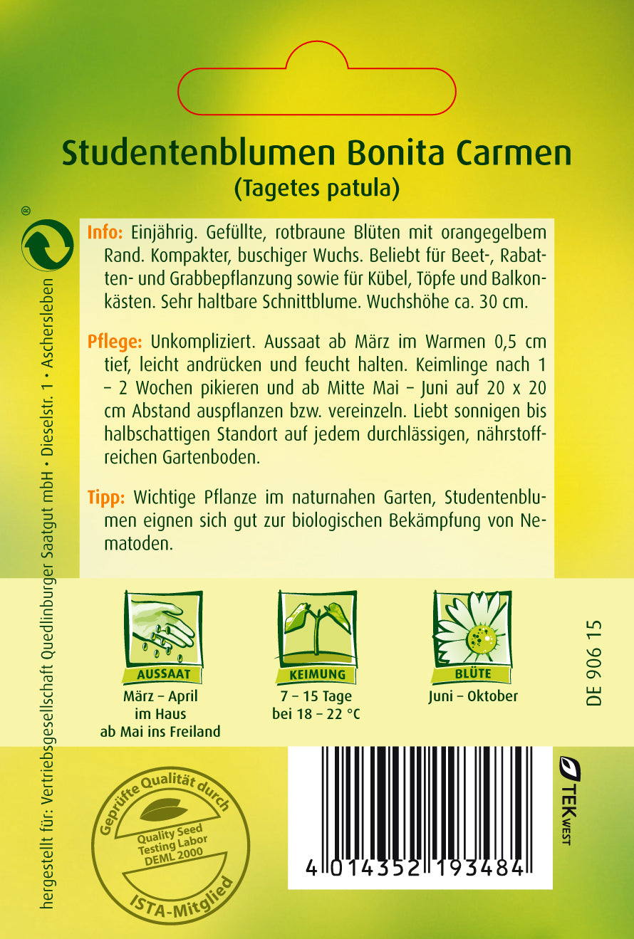 Studentenblumen Bonita Carmen