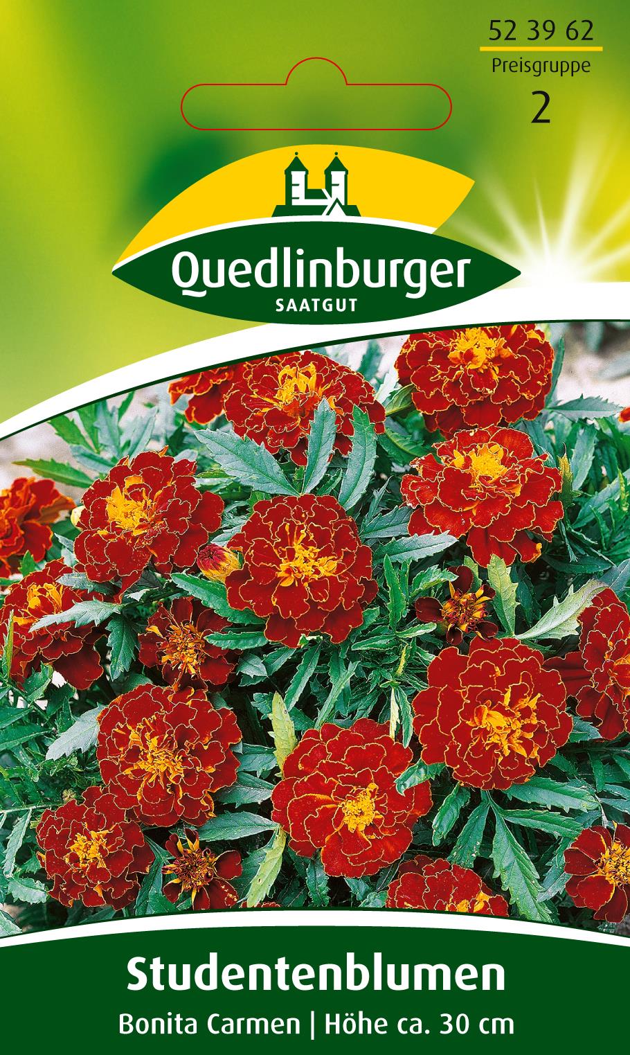 Studentenblumen Bonita Carmen