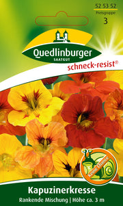 Kapuzinerkresse Rankende Mischung