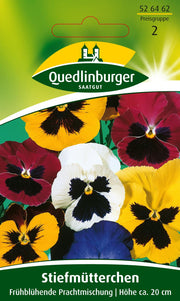 Stiefmütterchen frühblühende Prachtmischung