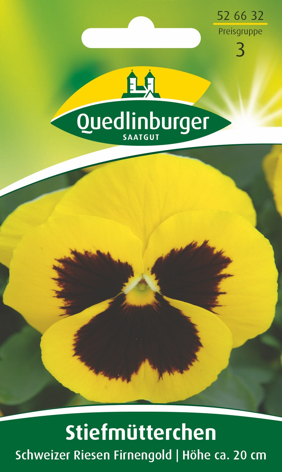 Stiefmütterchen Schweizer Riesen Firnengold