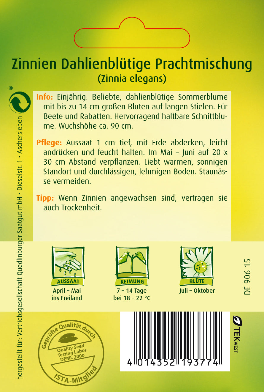 Zinnien Dahlienblütige Mischung