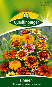 Zinnien Old Mexico