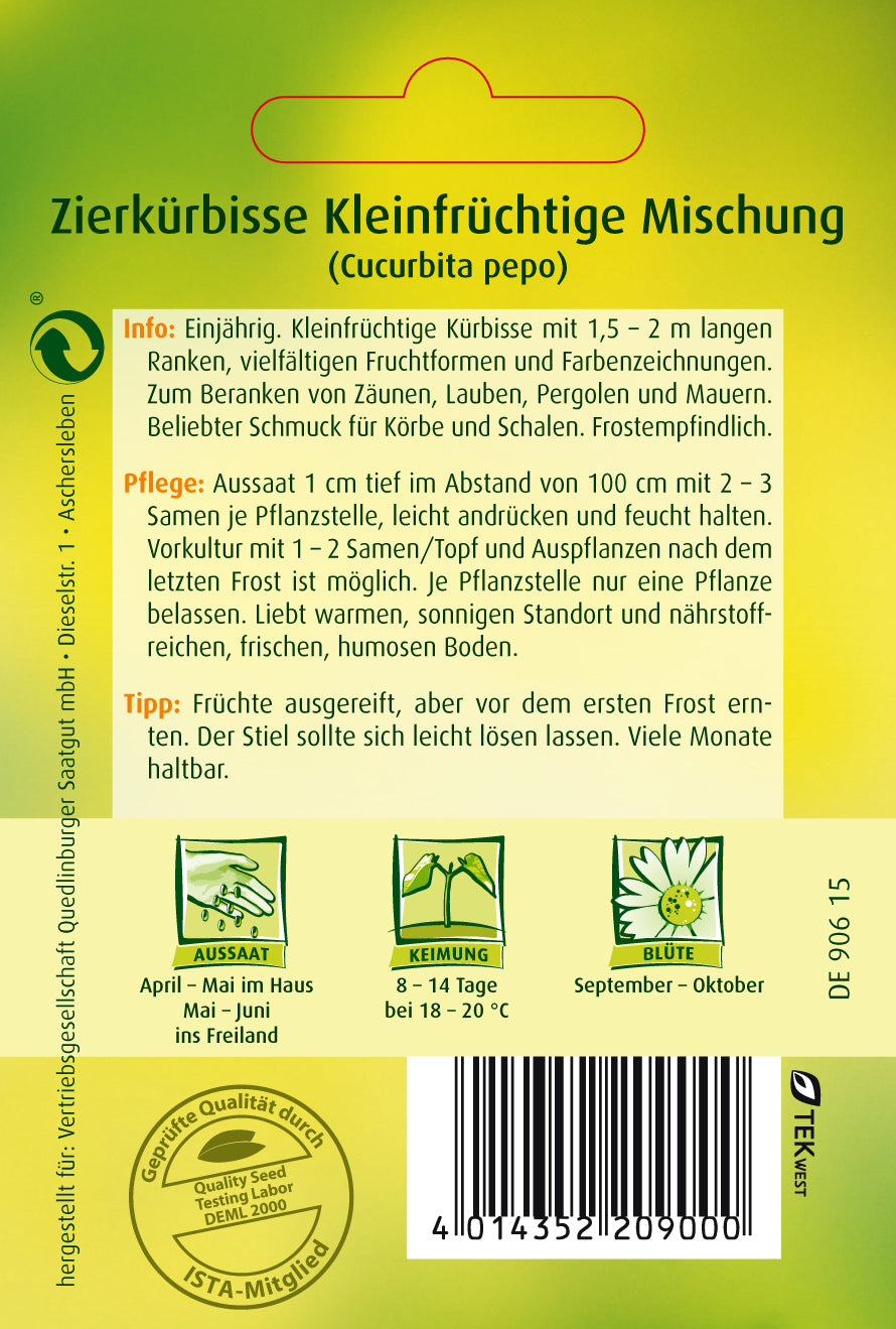 Zierkürbis kleinfrüchtige Mischung