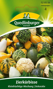 Zierkürbis kleinfrüchtige Mischung