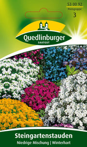 Steingartenstauden Niedrige Mischung