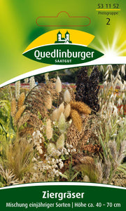 Ziergräser Mischung