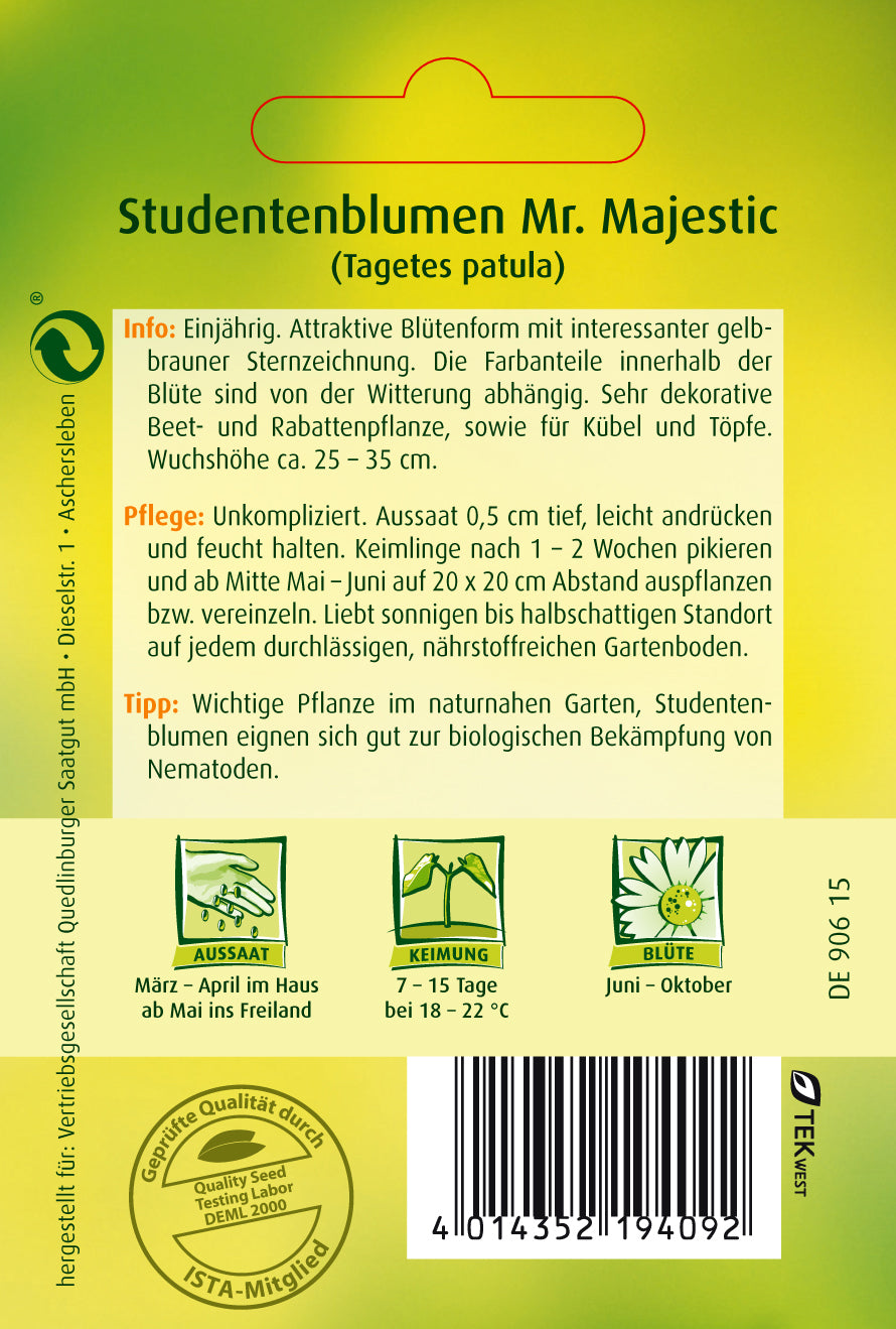 Studentenblumen Mr. Majestic