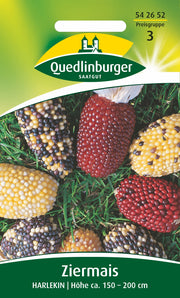 Zier-Mais Harlekin