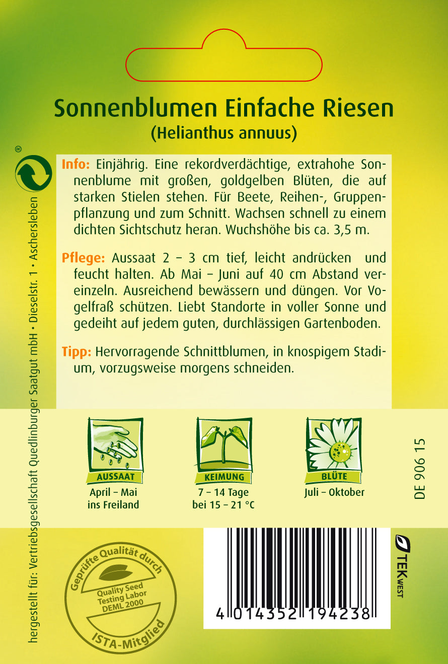 Sonnenblumen Einfache Riesen