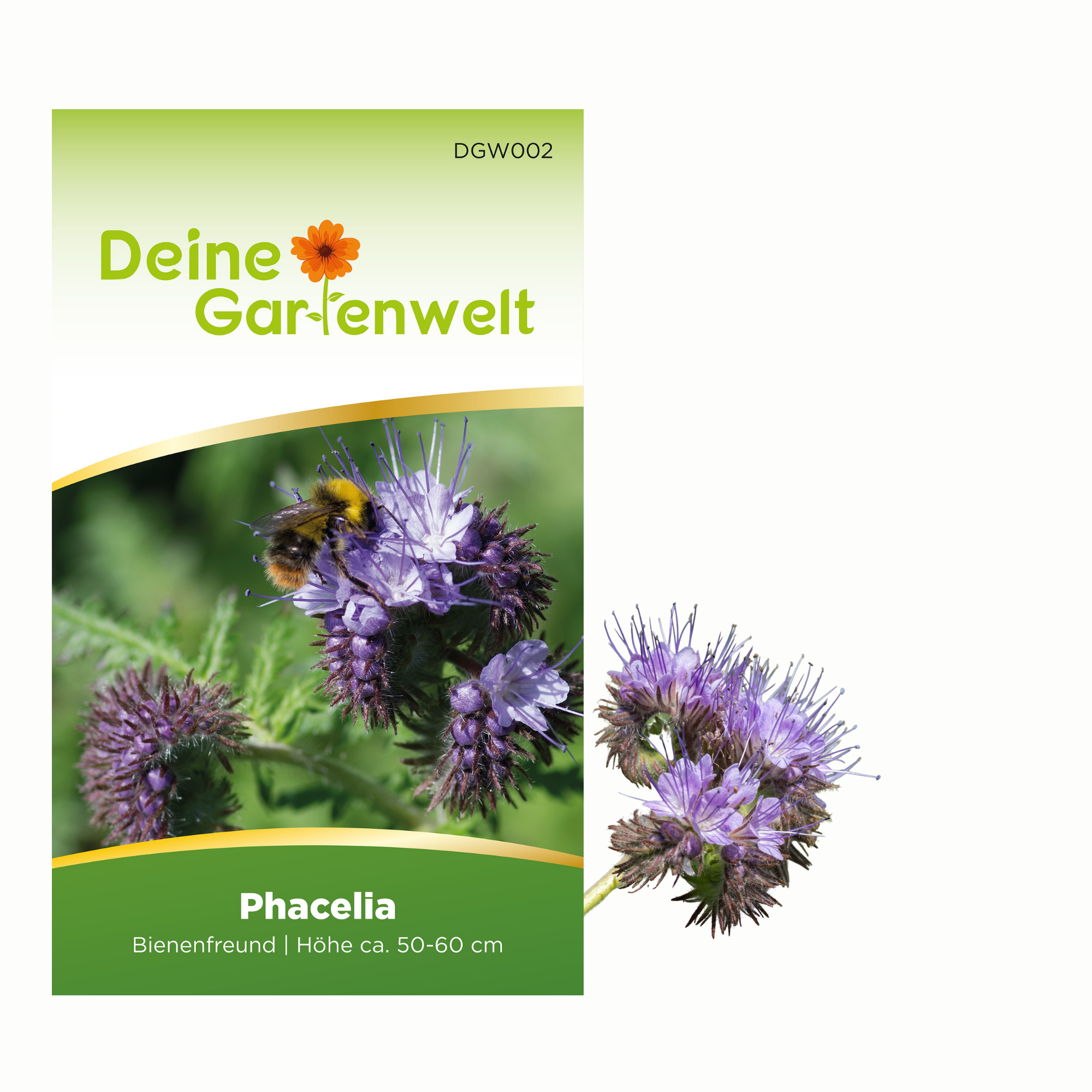 Phacelia Bienenfreund