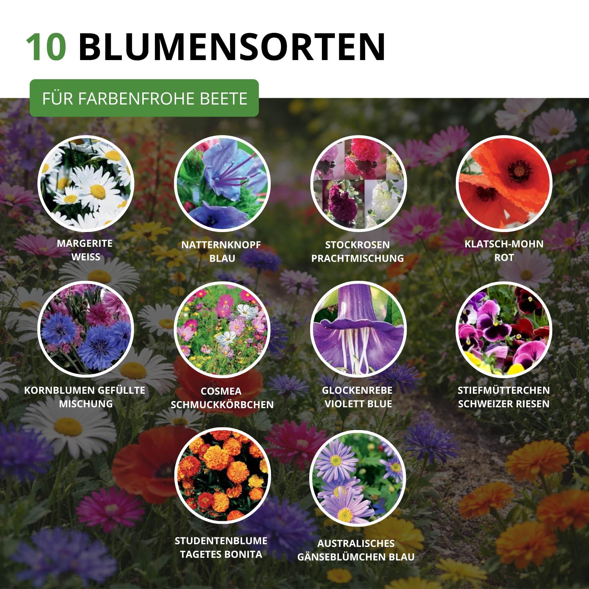 Samen Blumensamen-Set mit 10 Sorten