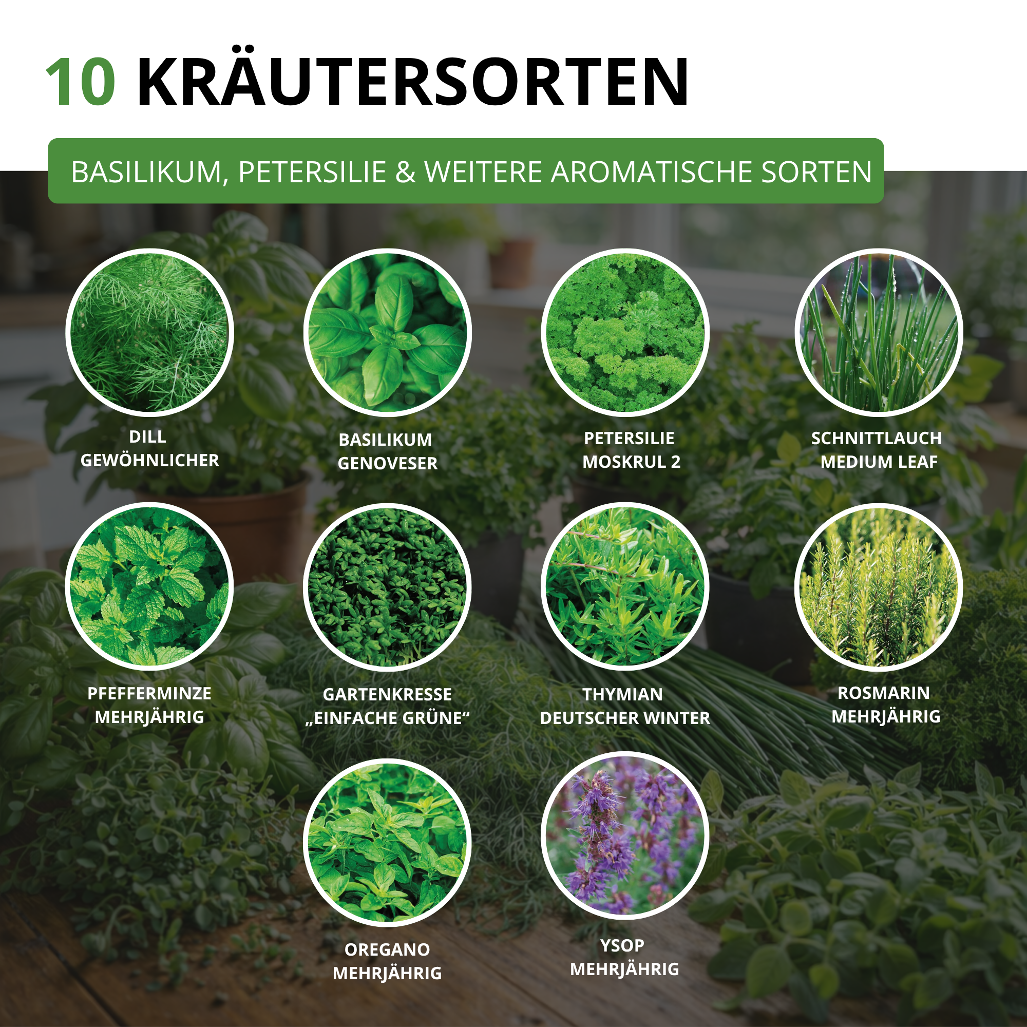 Kräutersamen-Set mit 10 Sorten