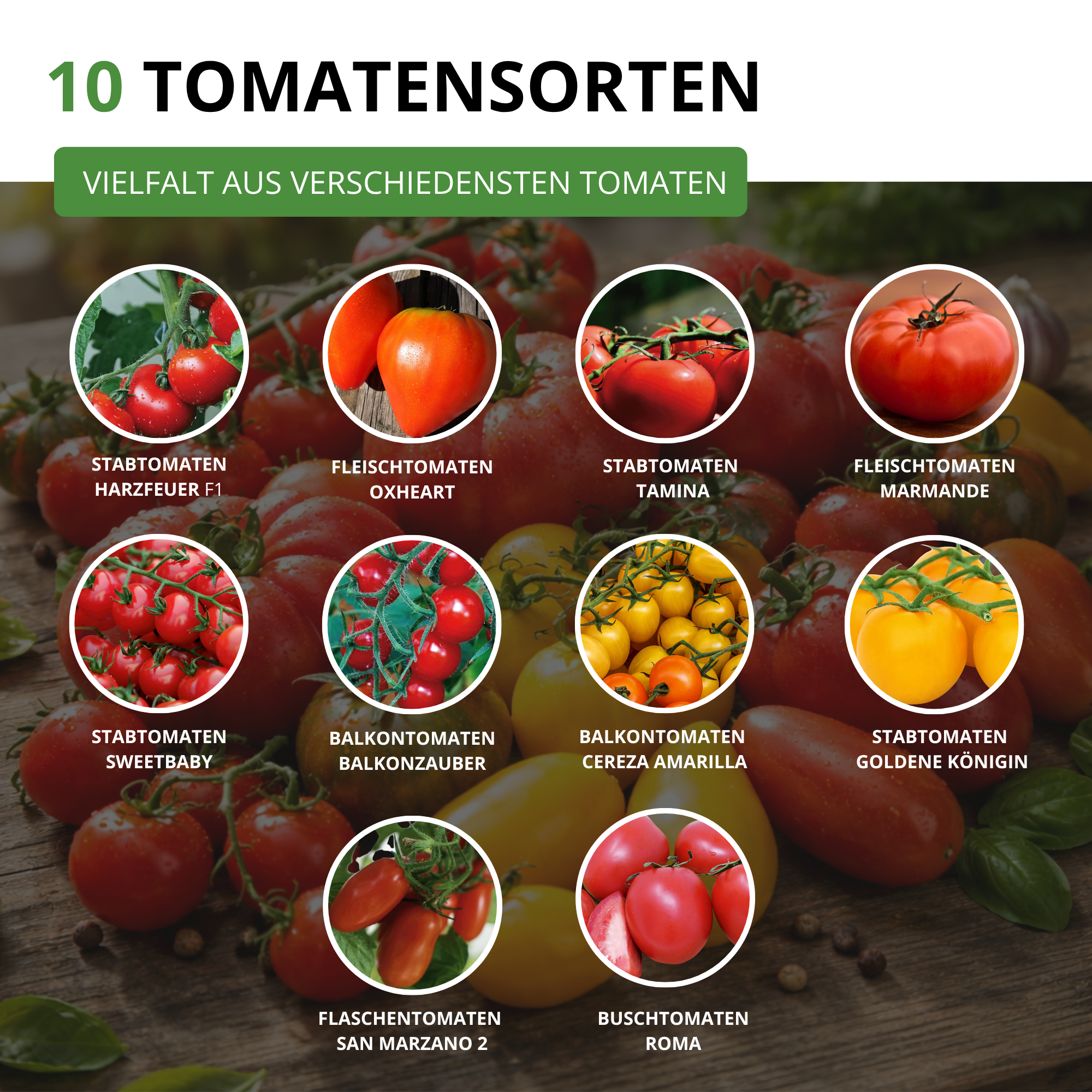 Tomatensamen-Set mit 10 Sorten