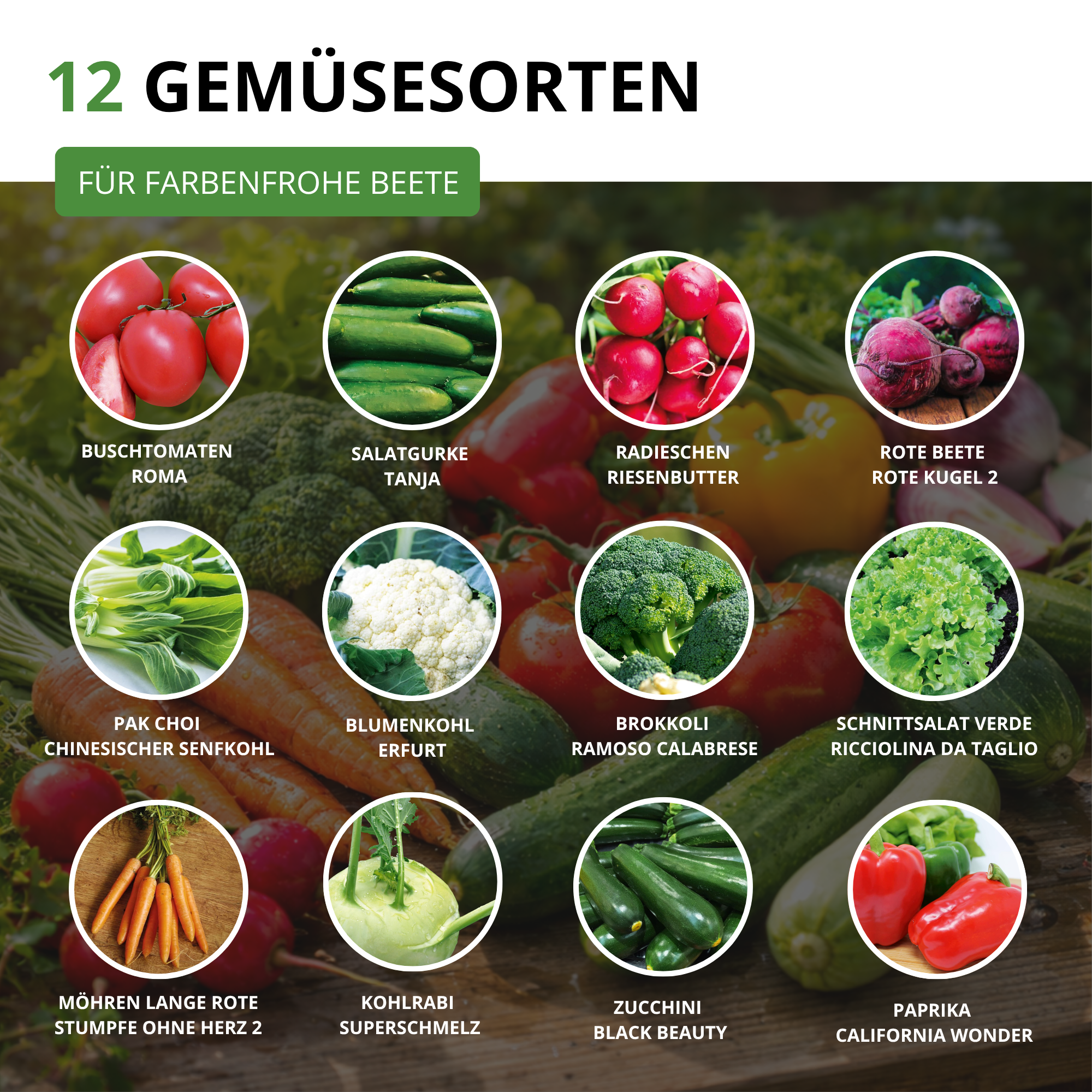 Gemüsesamen-Set mit 12 Sorten