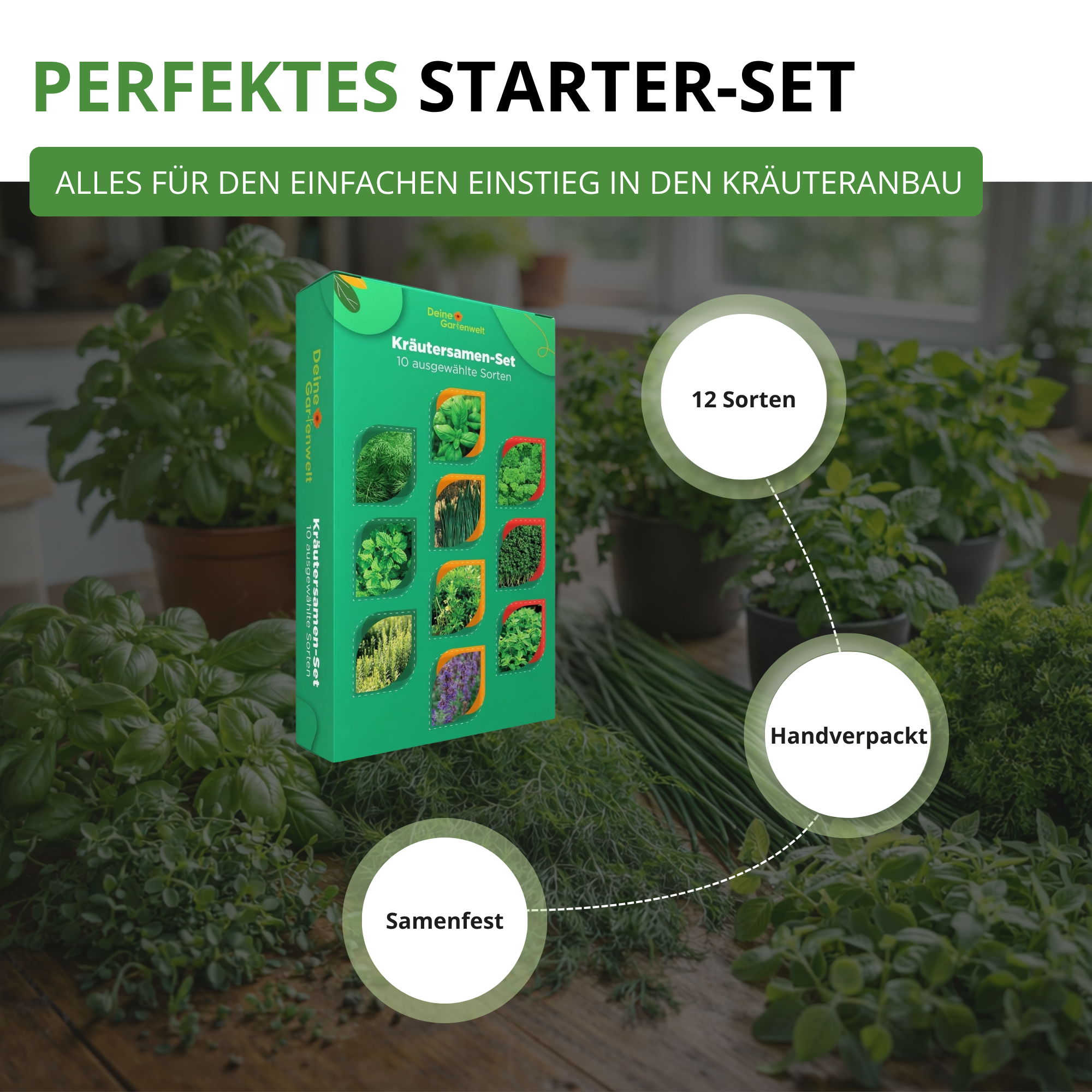 Kräutersamen-Set mit 10 Sorten