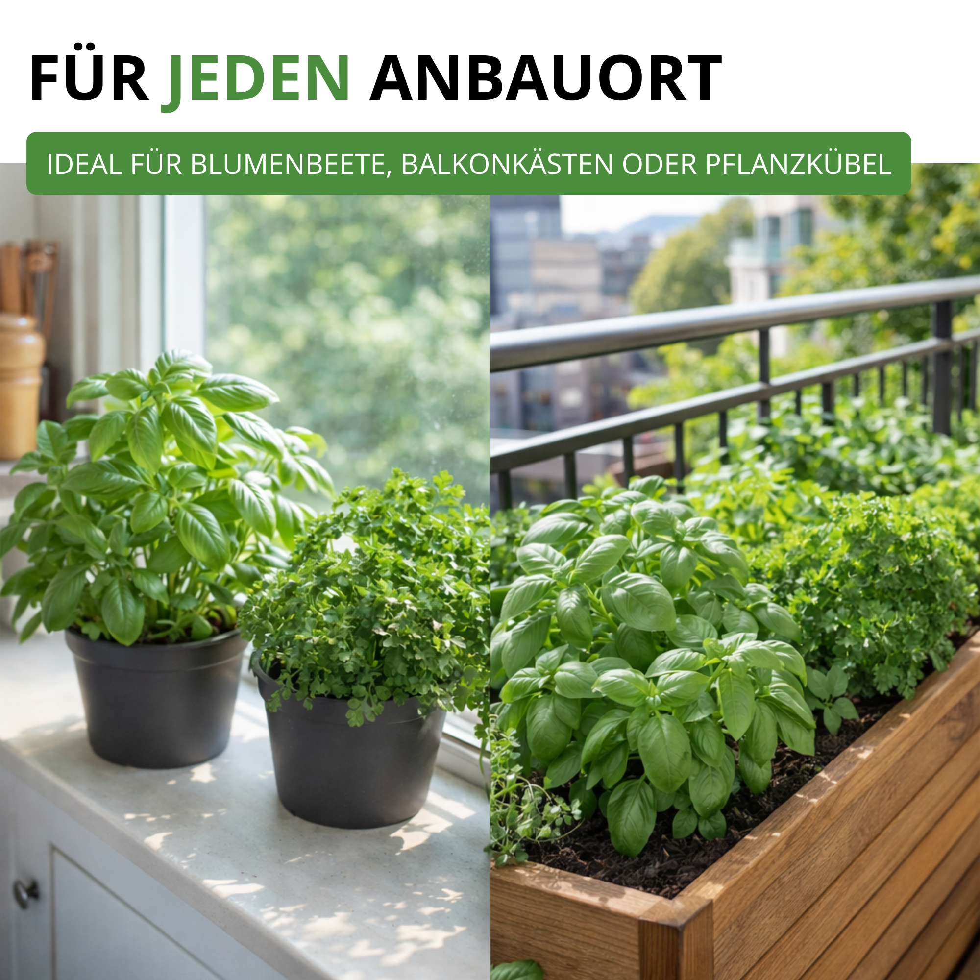 Kräutersamen-Set mit 10 Sorten