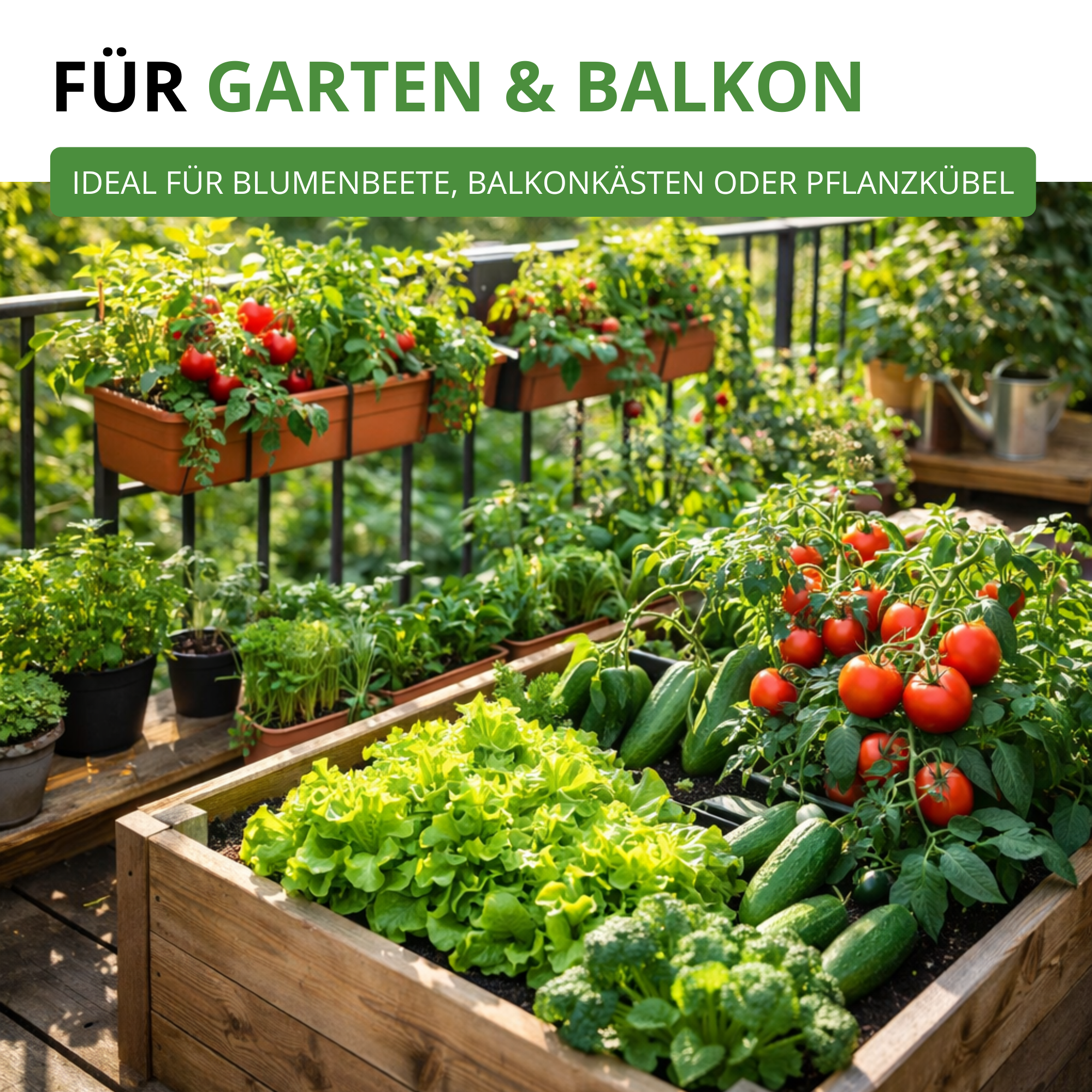 Gemüsesamen-Set mit 12 Sorten