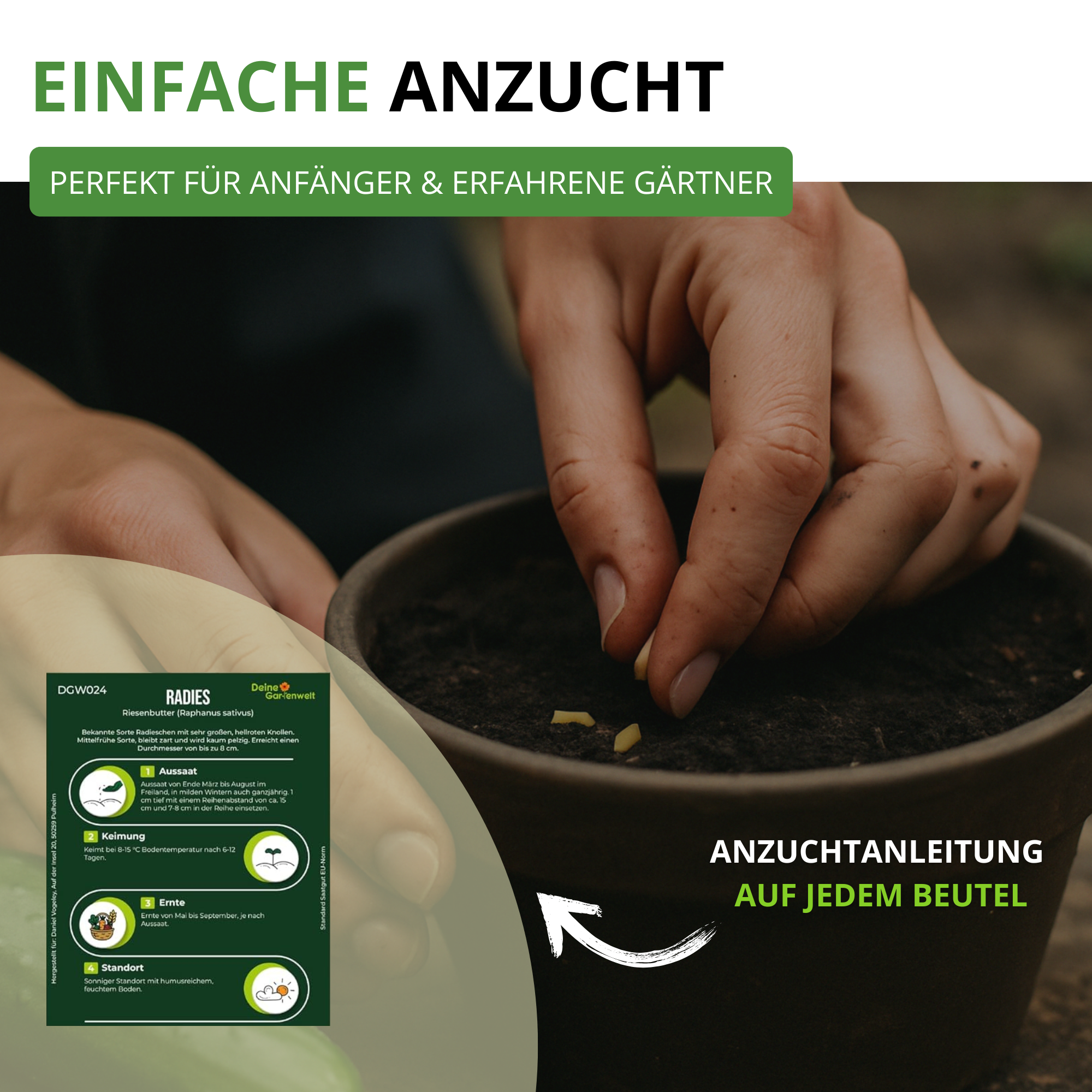 Gemüsesamen-Set mit 12 Sorten