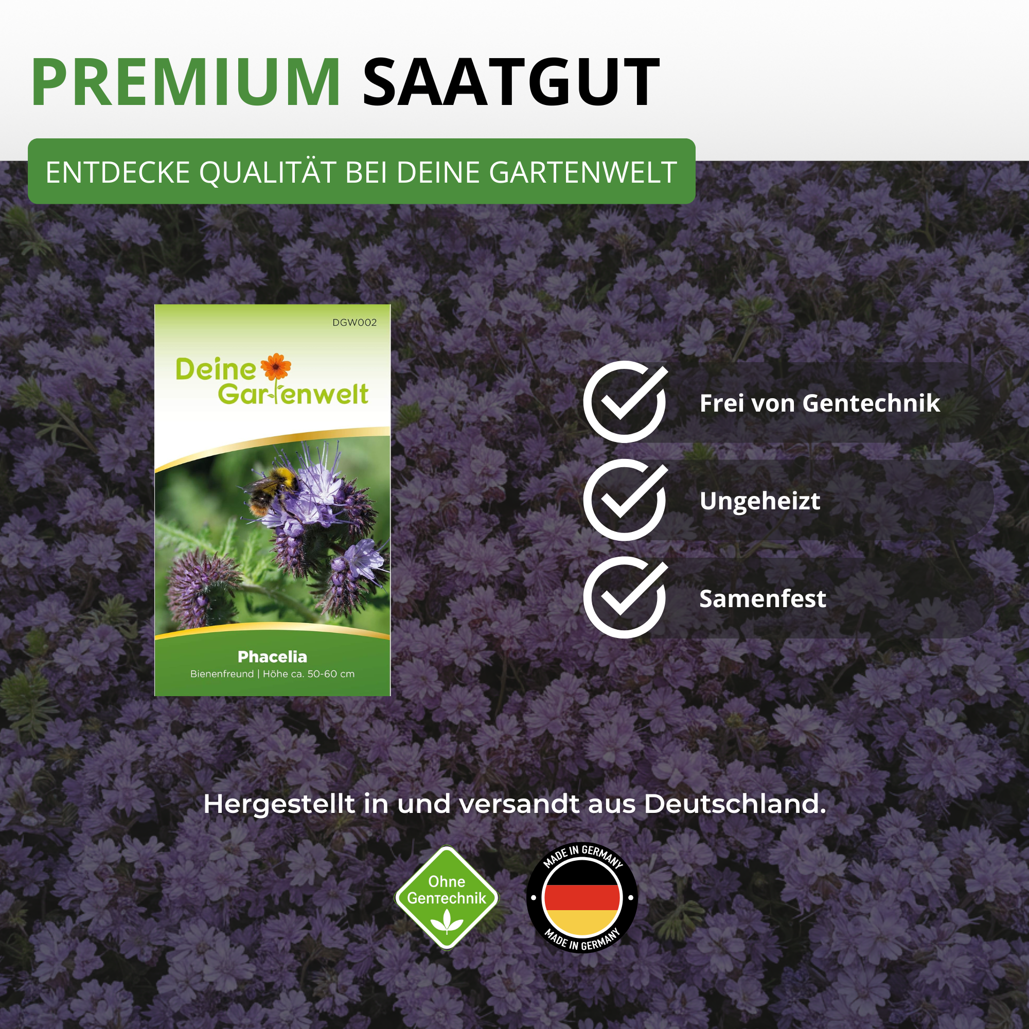 Phacelia Bienenfreund