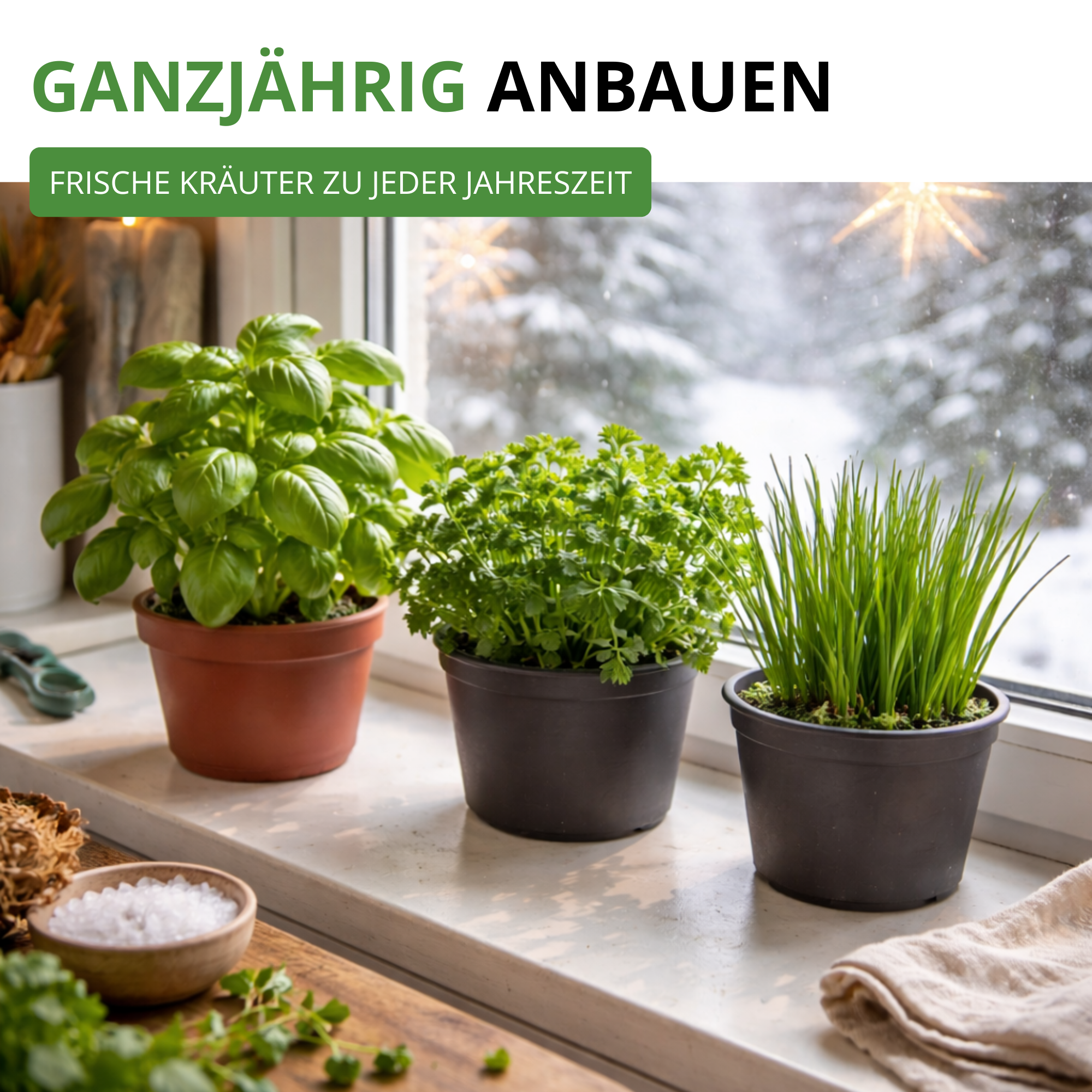 Kräutersamen-Set mit 10 Sorten