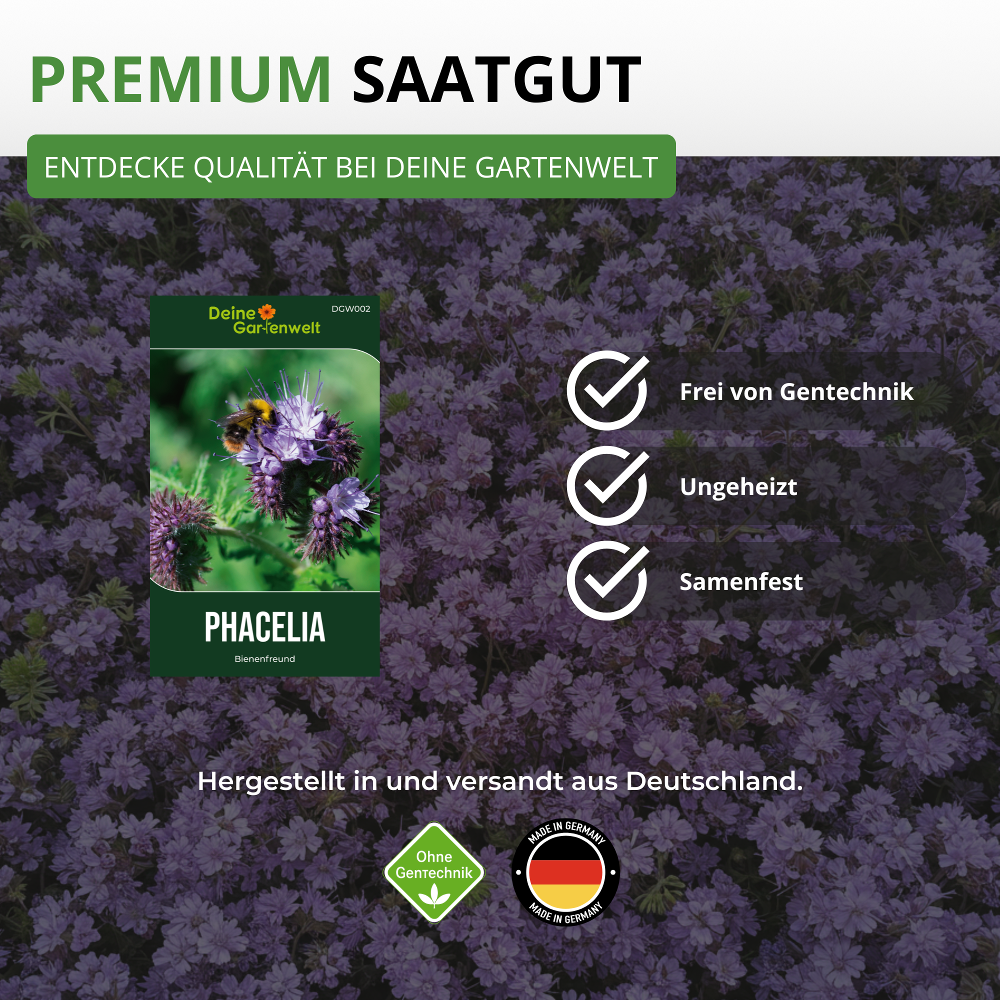 Phacelia Bienenfreund