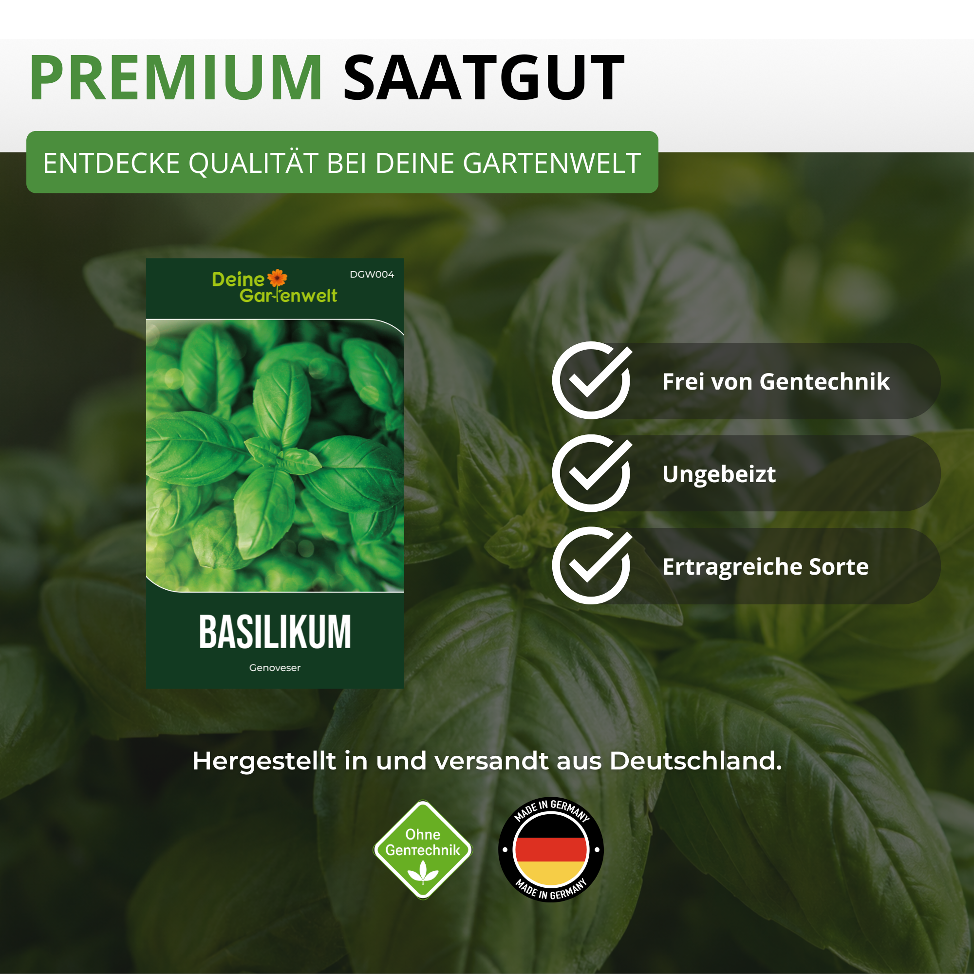Basilikum Genoveser Saatgut