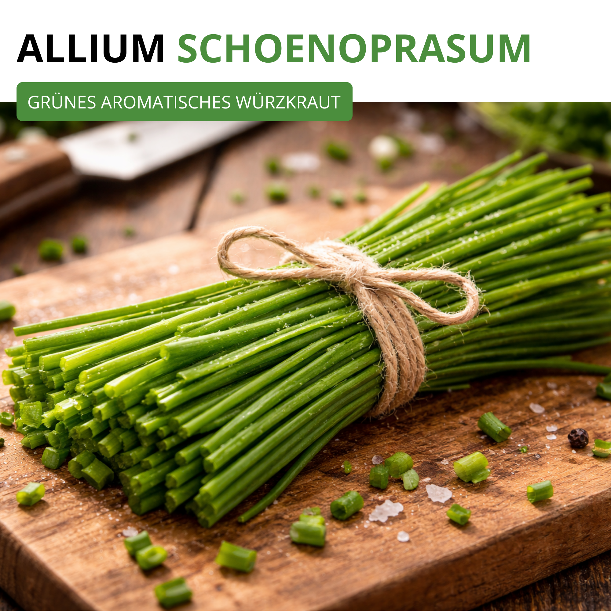 Schnittlauch Medium Leaf