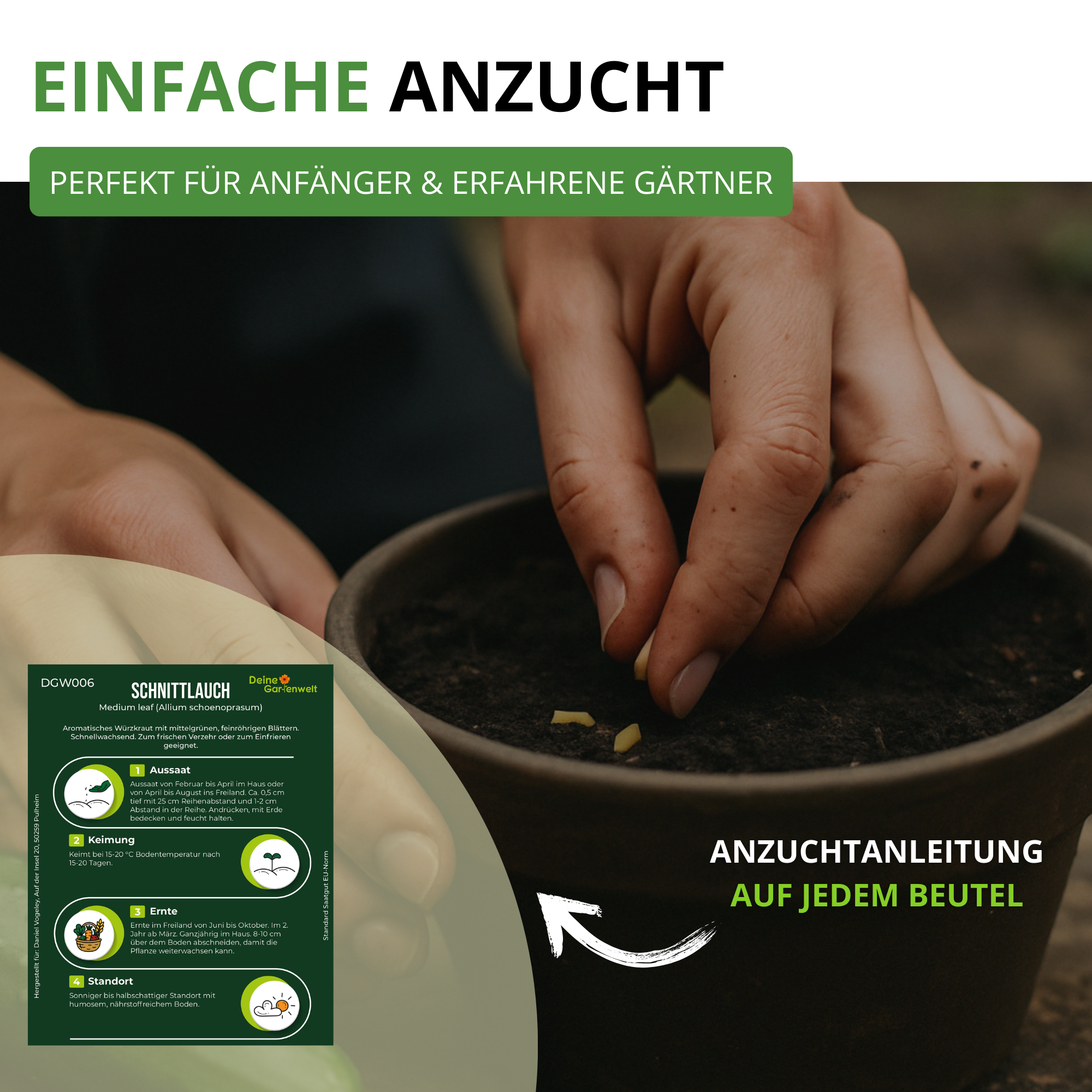 Schnittlauch Medium Leaf