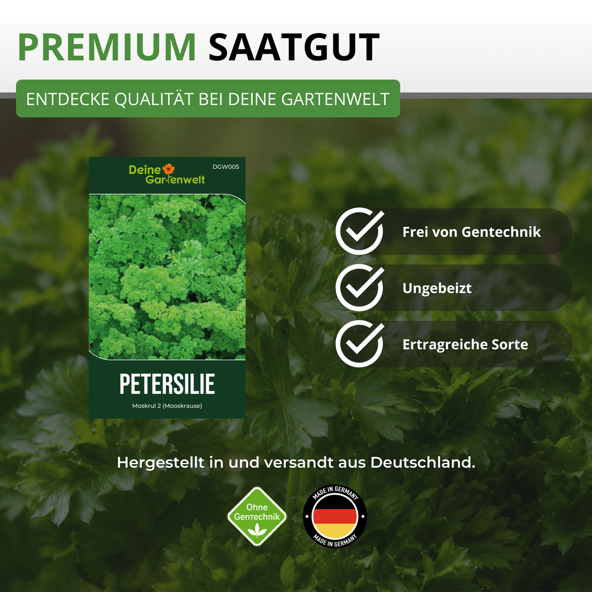 Petersilie Mooskrause 2 Saatgut