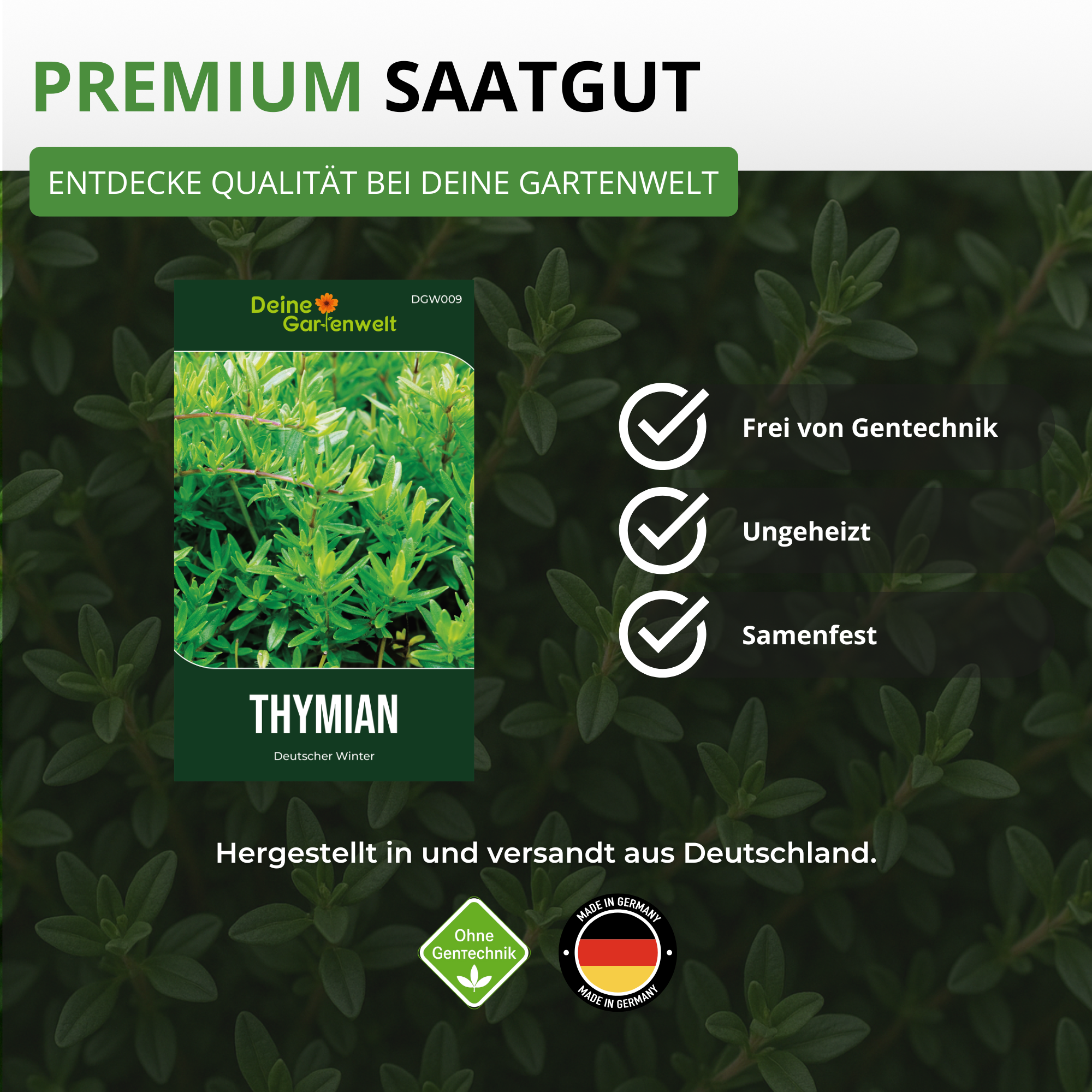 Thymian Deutscher Winter