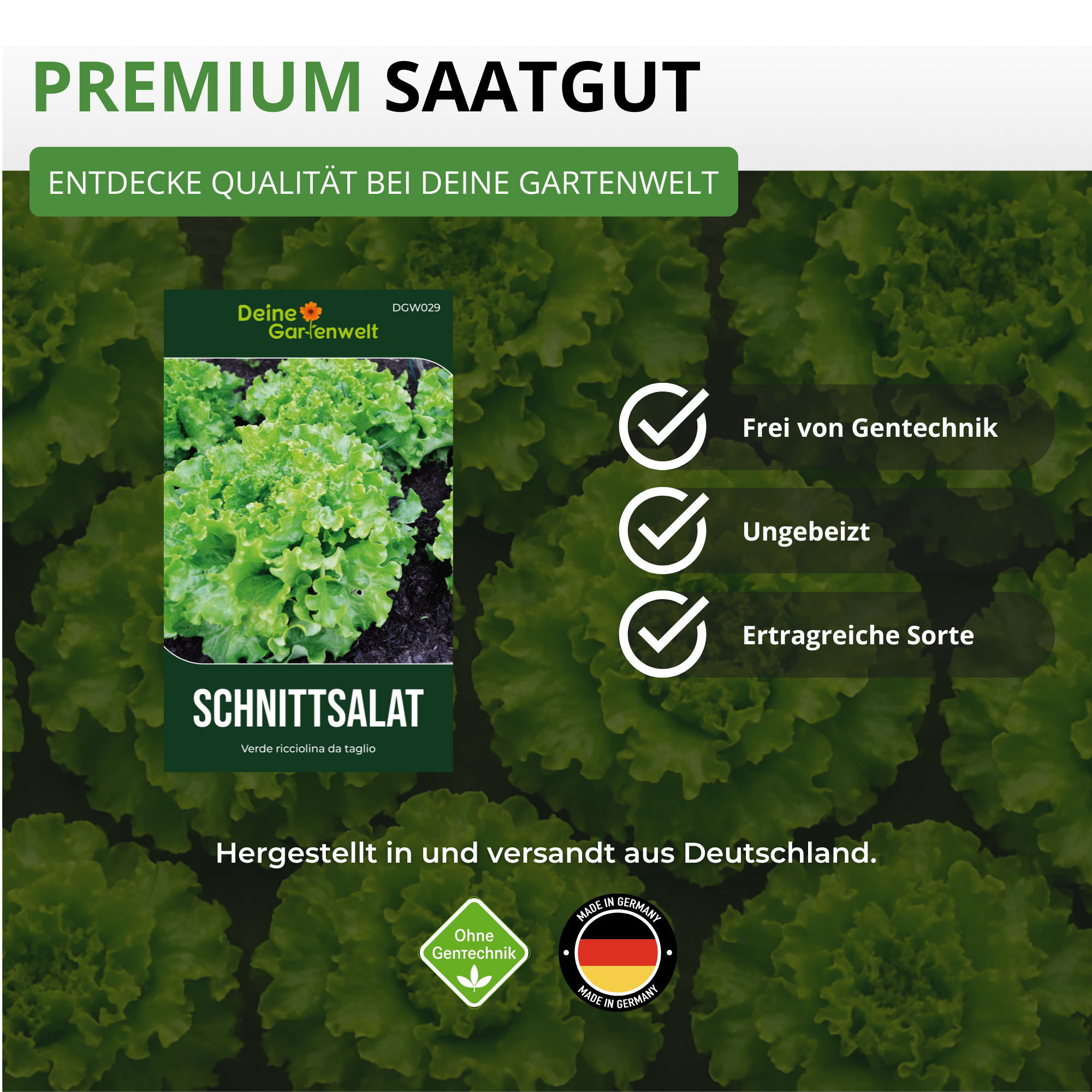 Schnittsalat Verde ricciolina da taglio