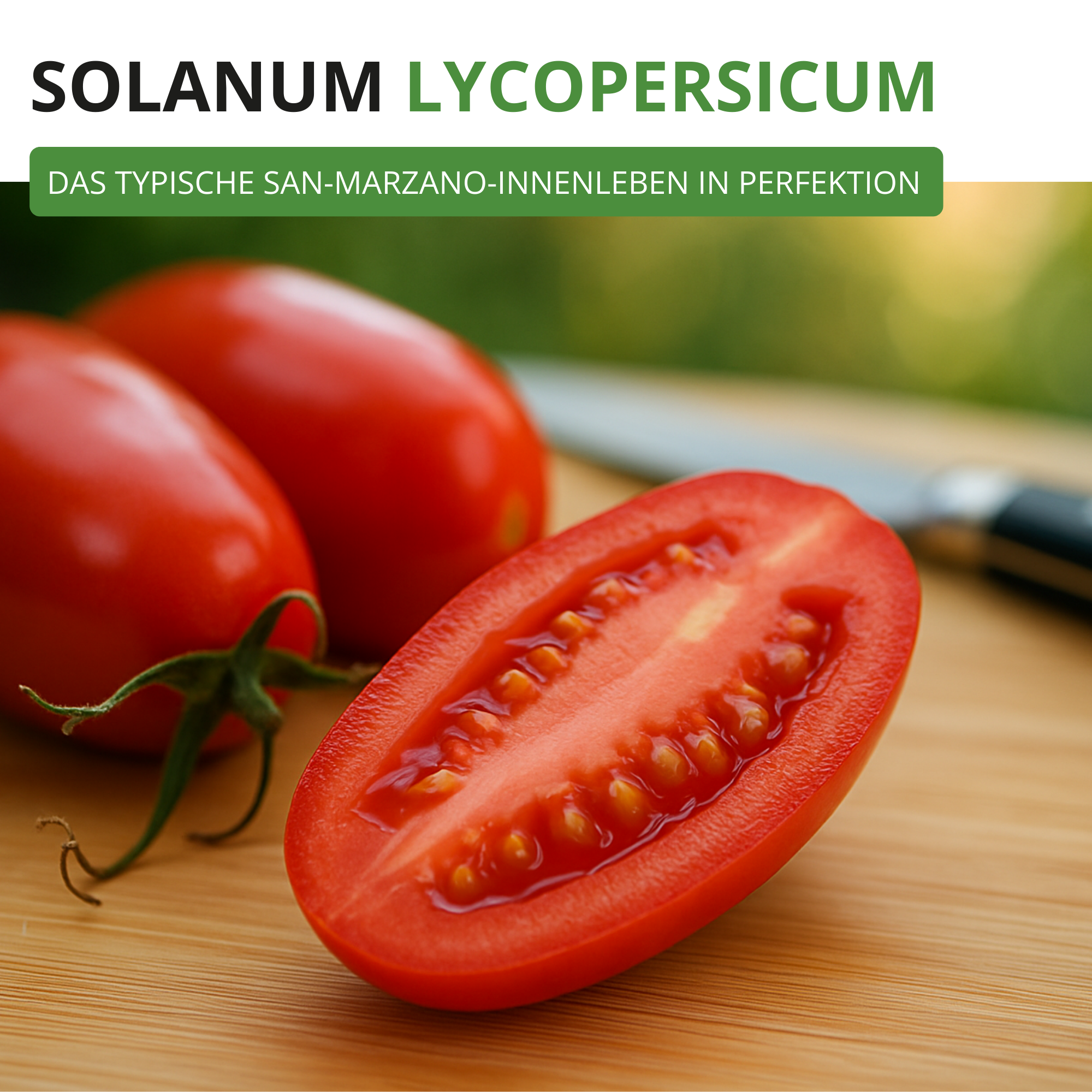 Flaschentomate San Marzano 2