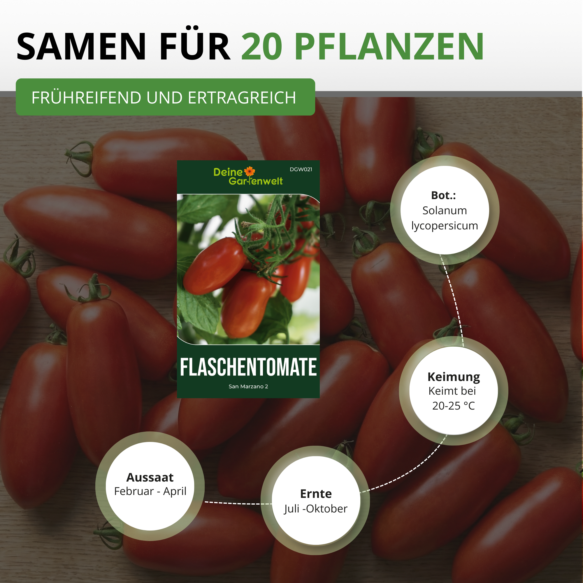 Flaschentomate San Marzano 2