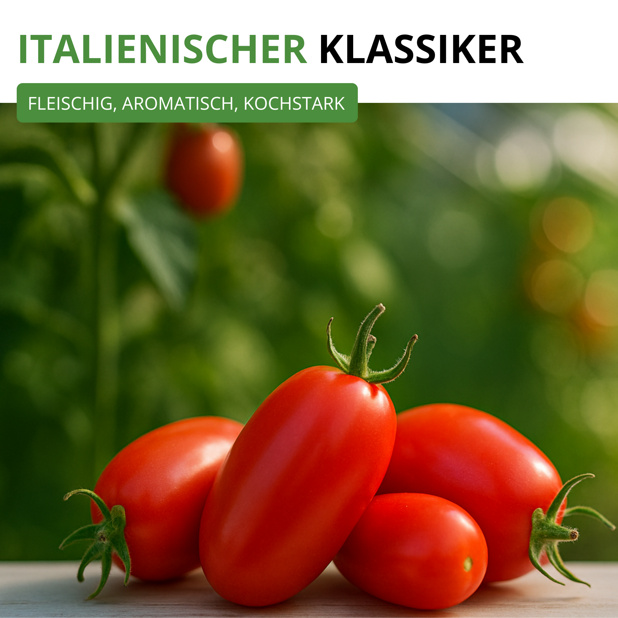 Flaschentomate San Marzano 2