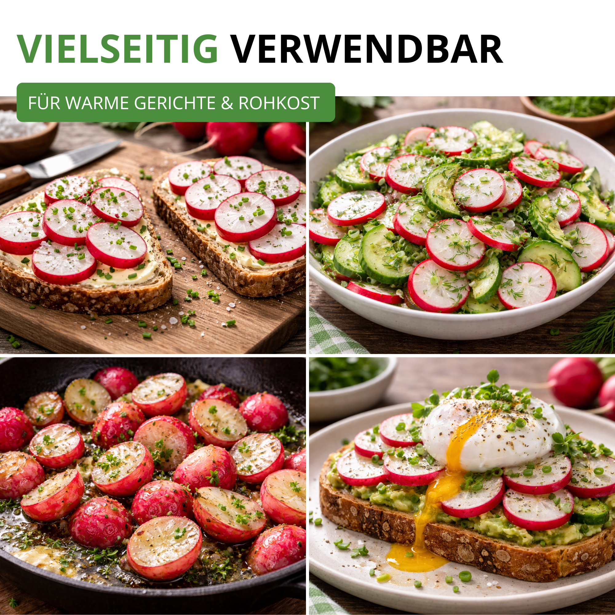 Radieschen Riesenbutter