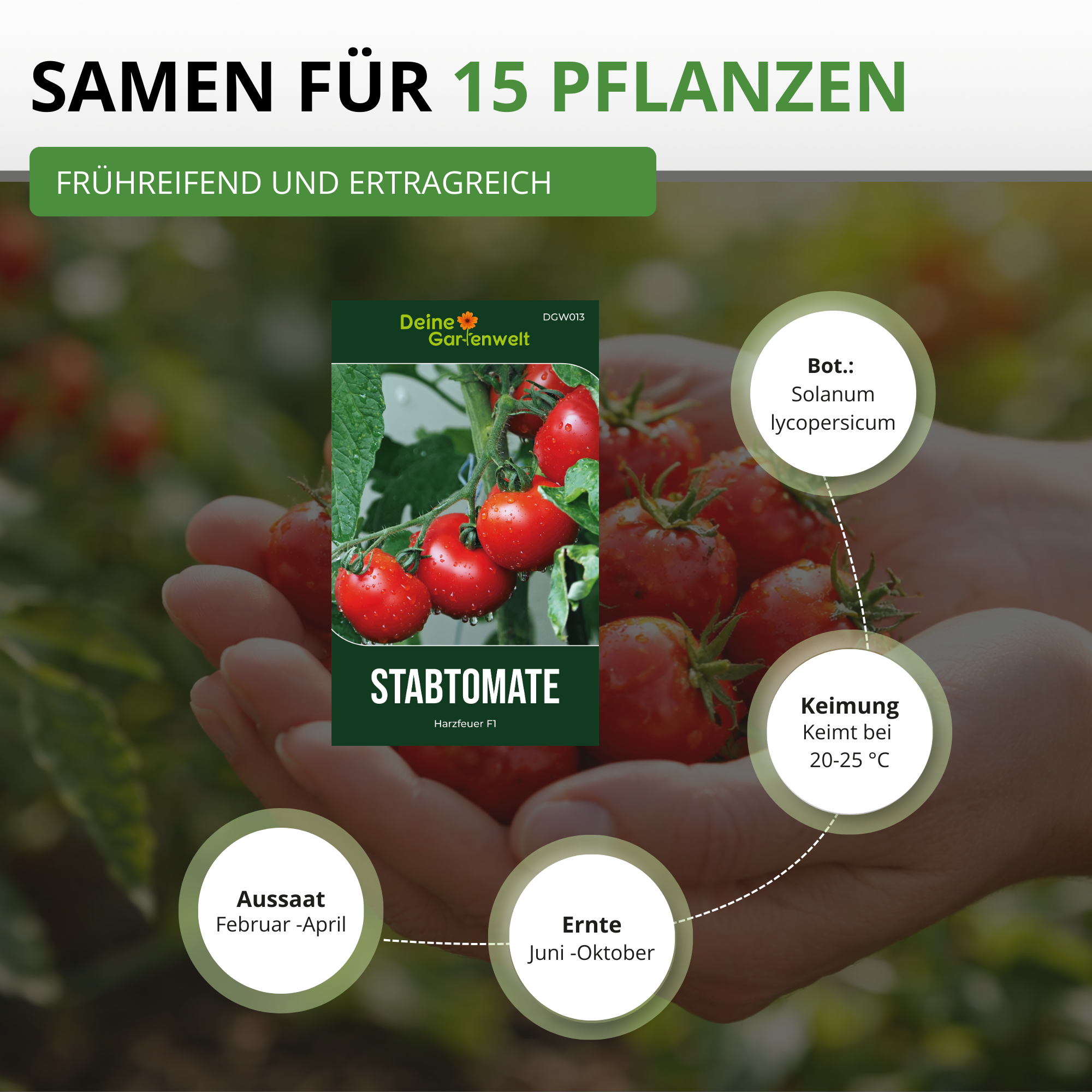 Stabtomaten Harzfeuer F1