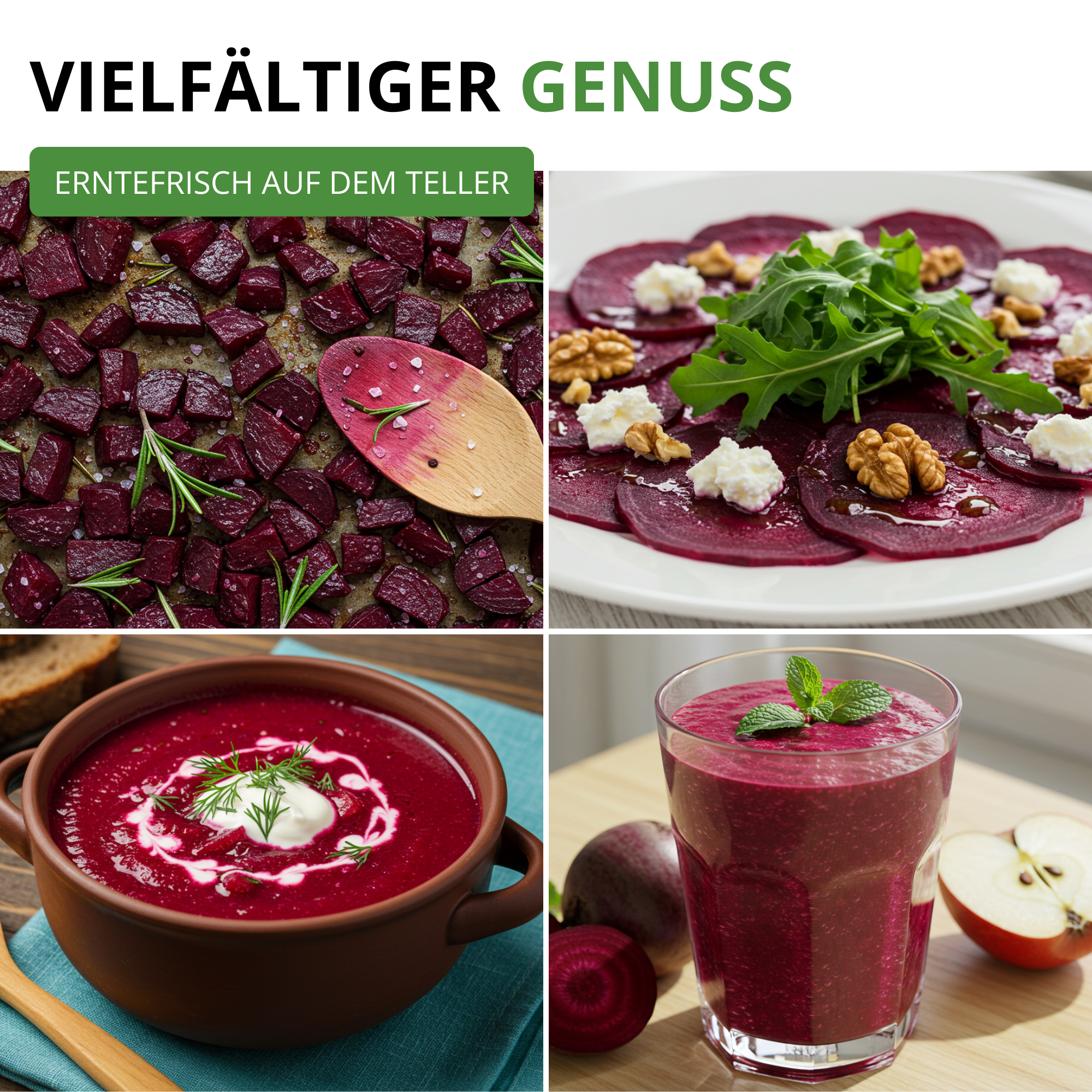 Rote Beete Rote Kugel 2