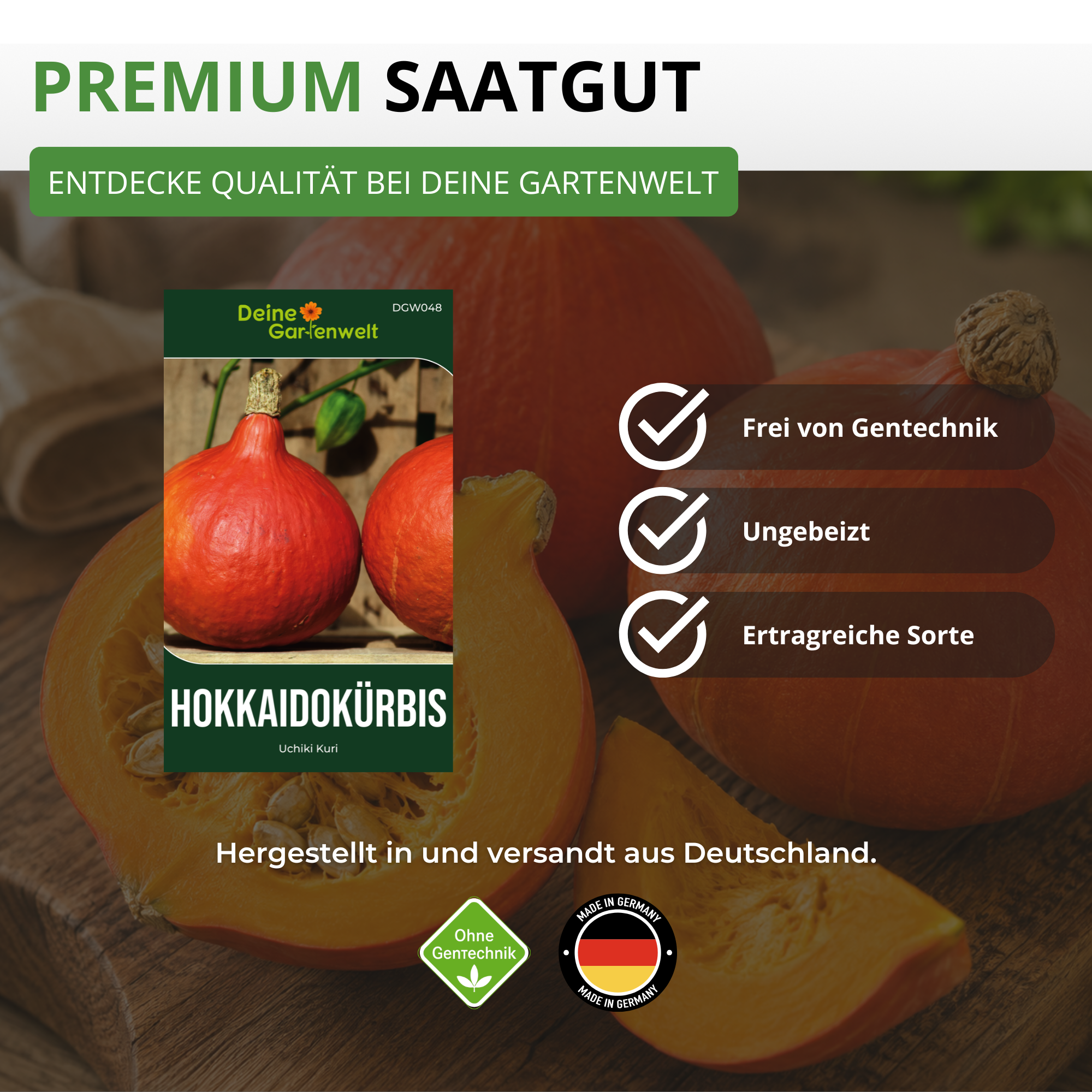 Hokkaido Kürbis Uchiki Kuri Saatgut