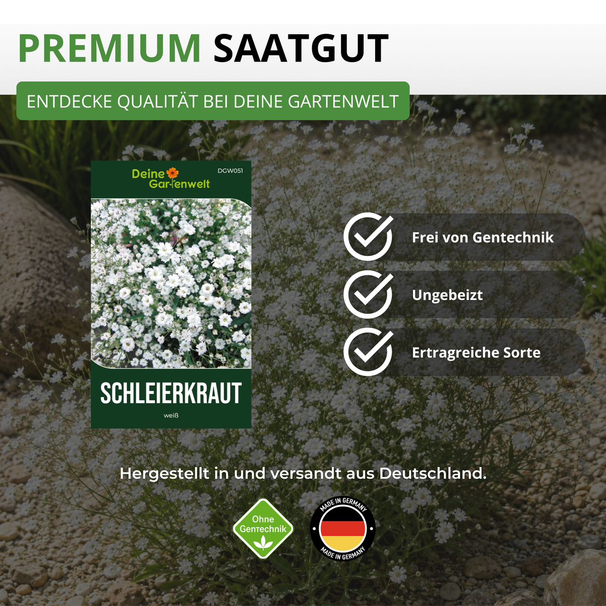 Stauden Schleierkraut weiß Saatgut