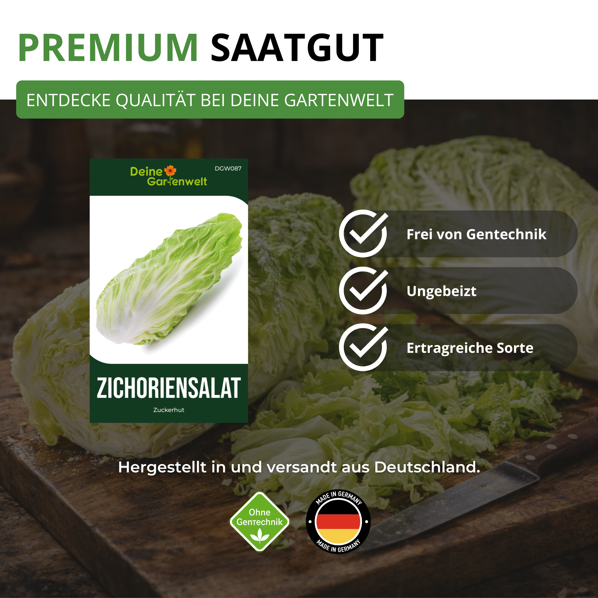 Zichoriensalat Zuckerhut