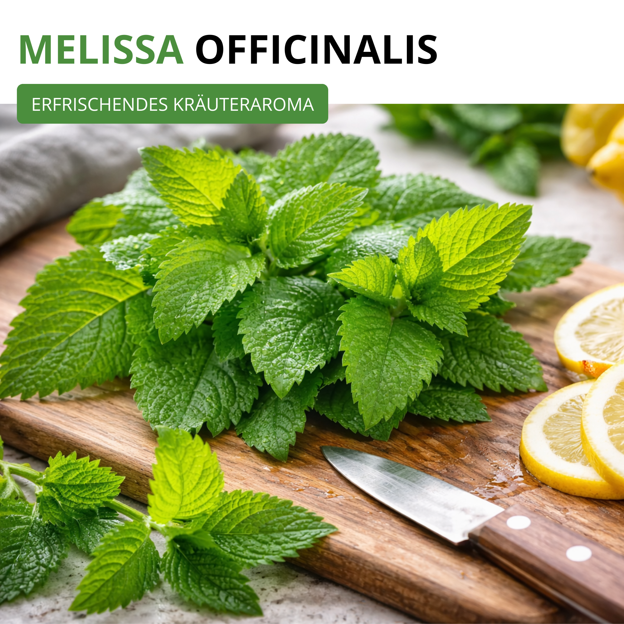 Zitronenmelisse