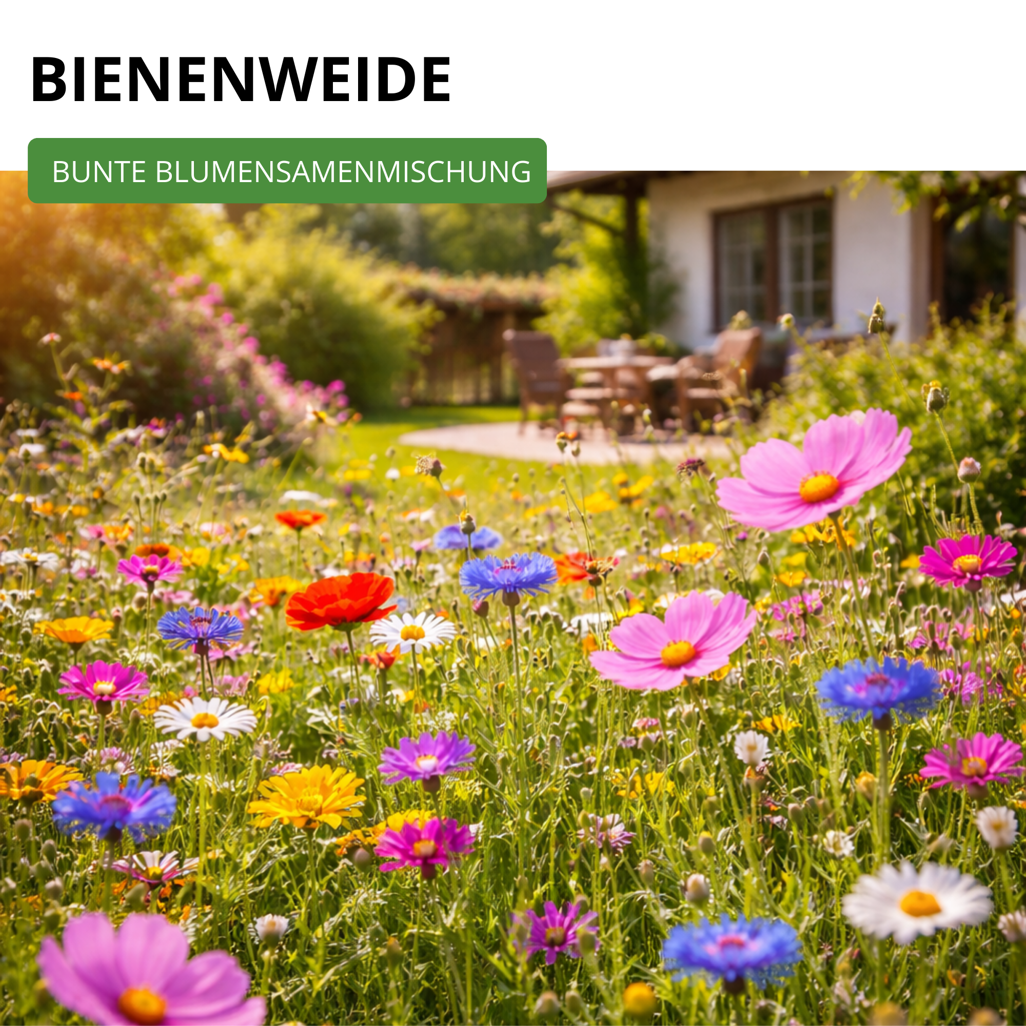 Bienenweide Blumenmischung 100 g