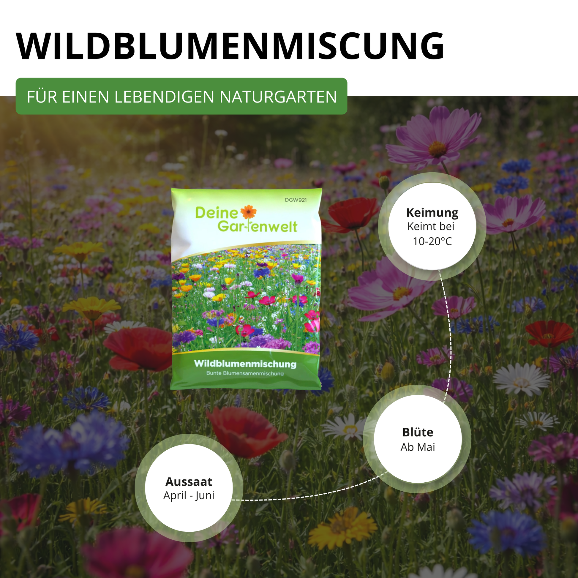 Wildblumenwiese Blumenmischung 100 g – Blumensamen online kaufen
