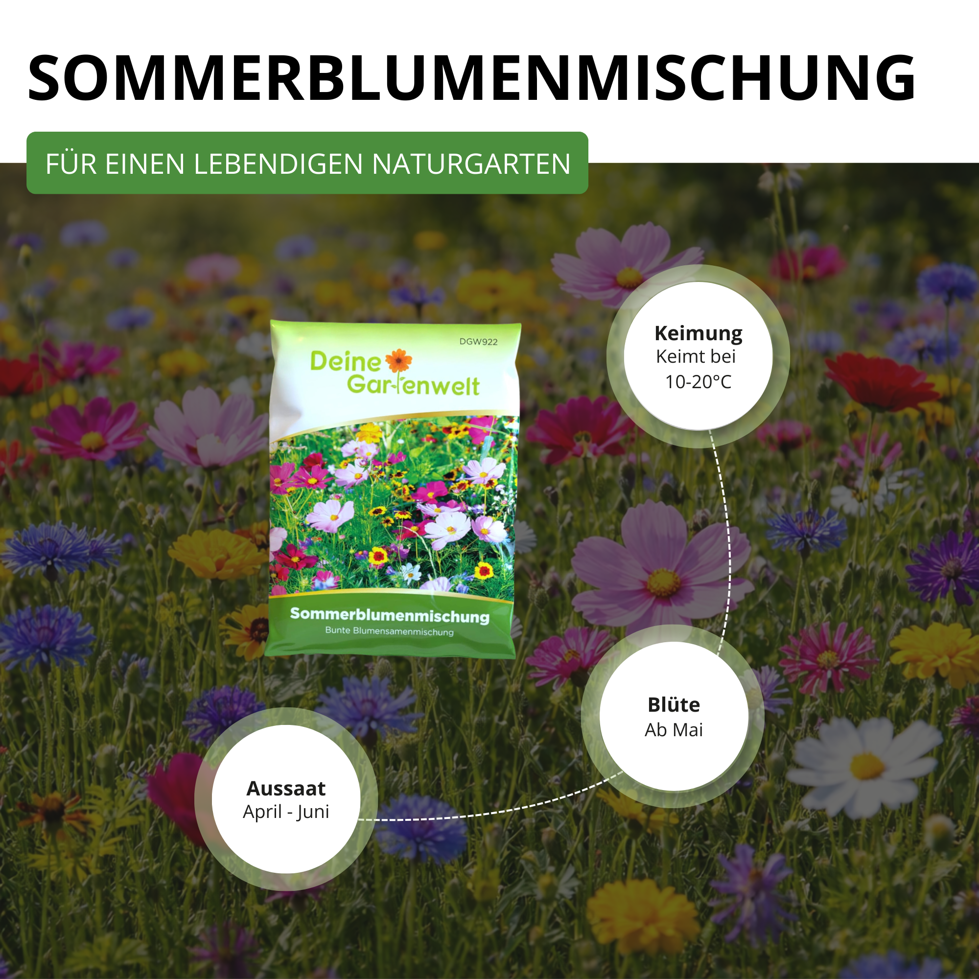 Sommerblumenwiese Blumenmischung 100 g