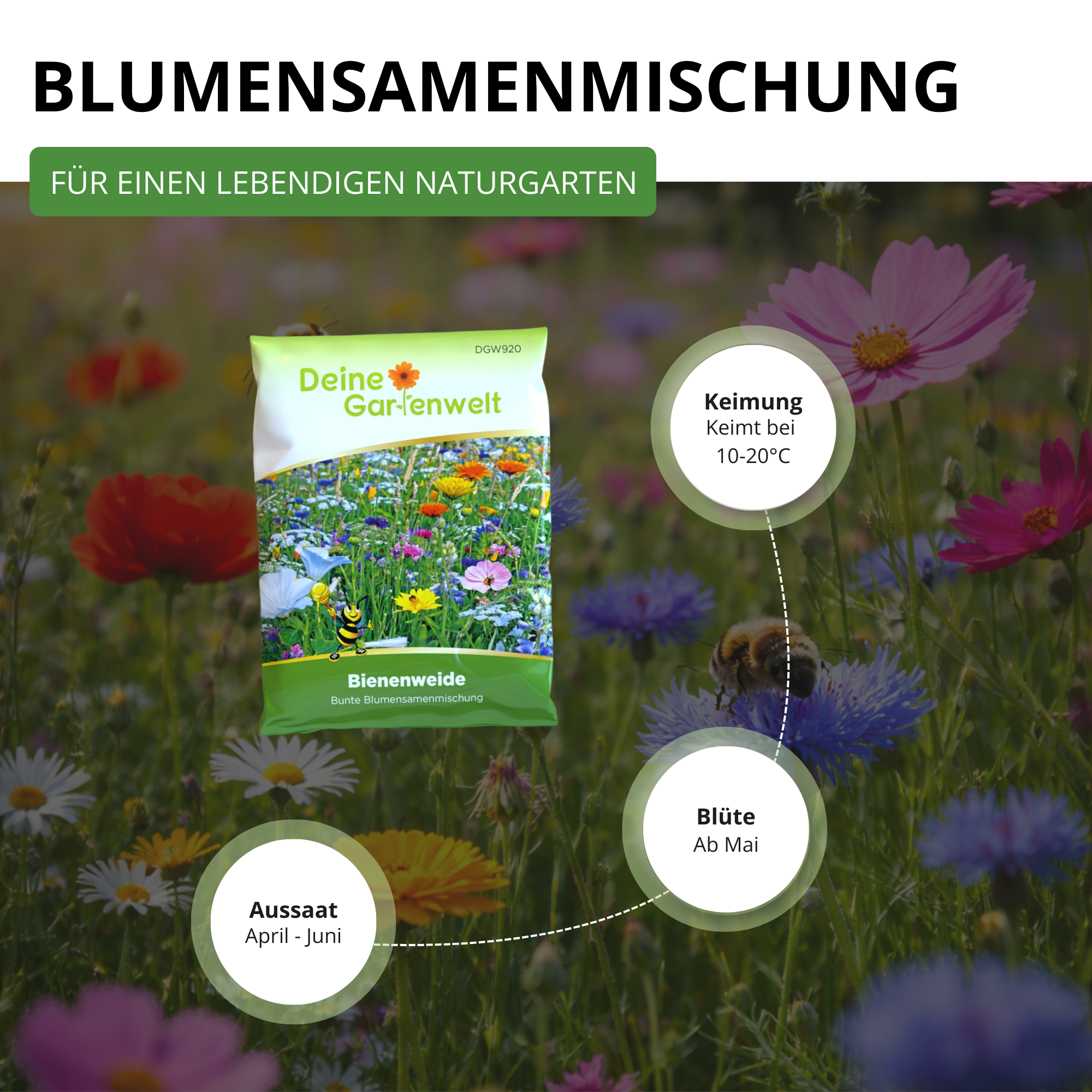Bienenweide Blumenmischung 100 g