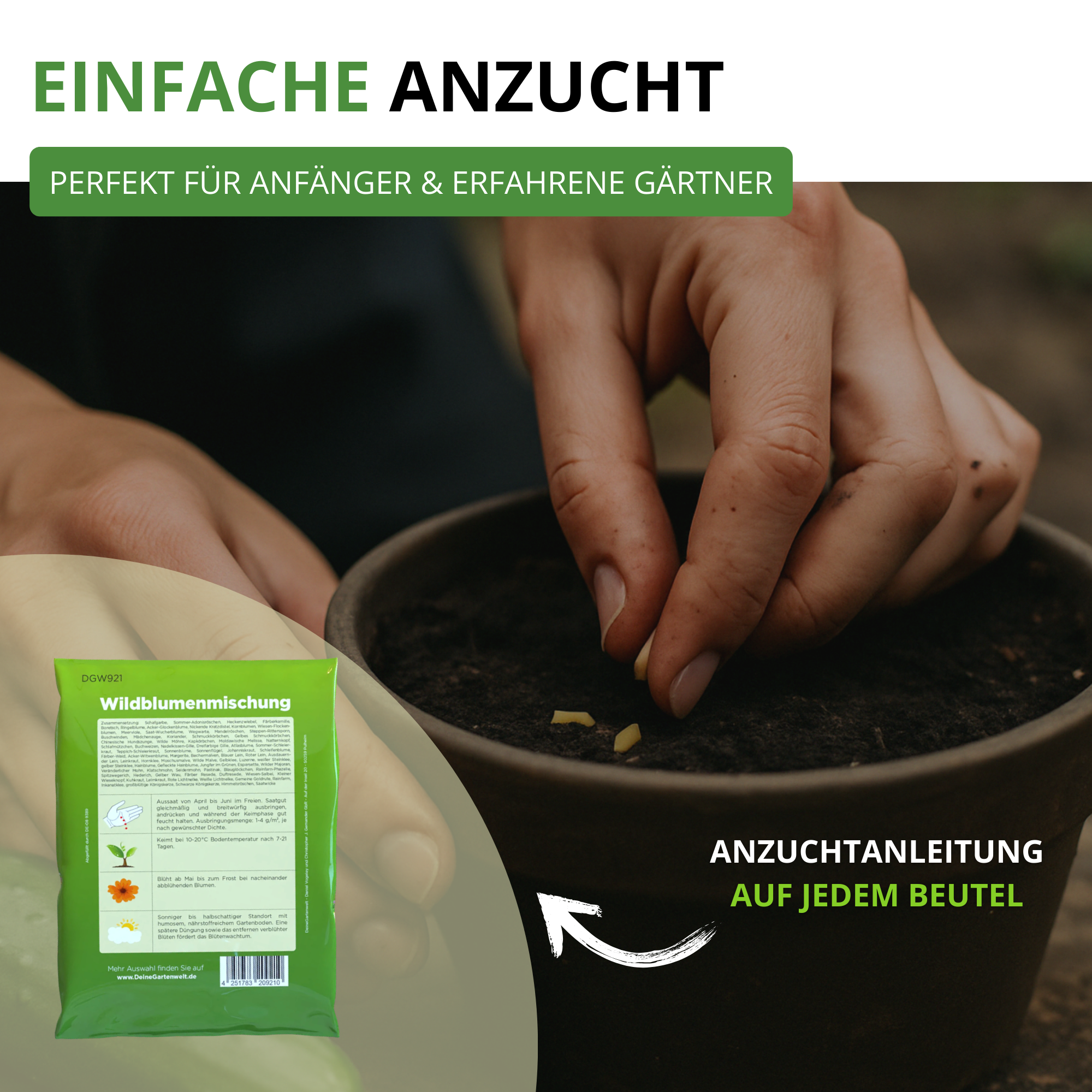 Wildblumenwiese Blumenmischung 100 g