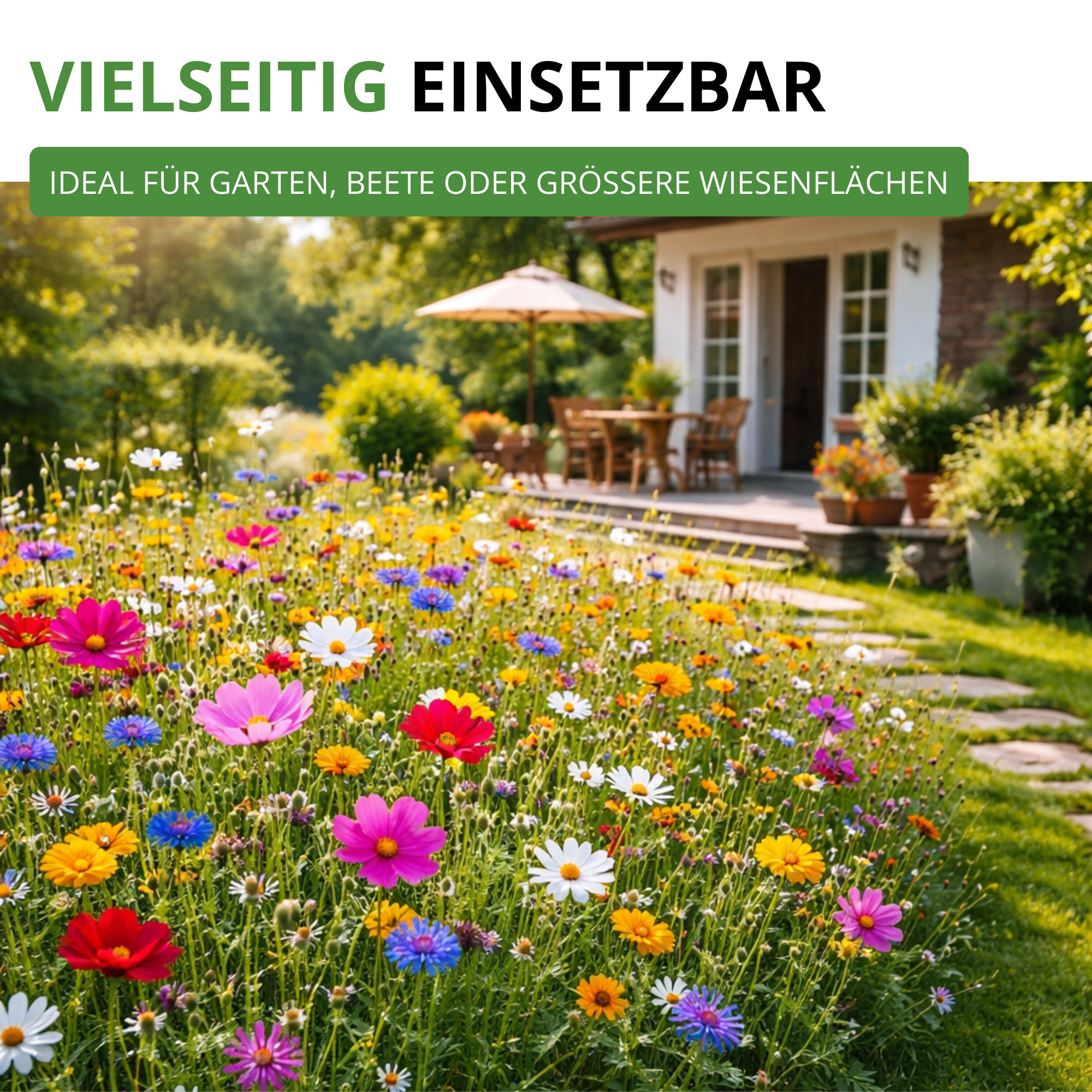 Sommerblumenwiese Blumenmischung 100 g