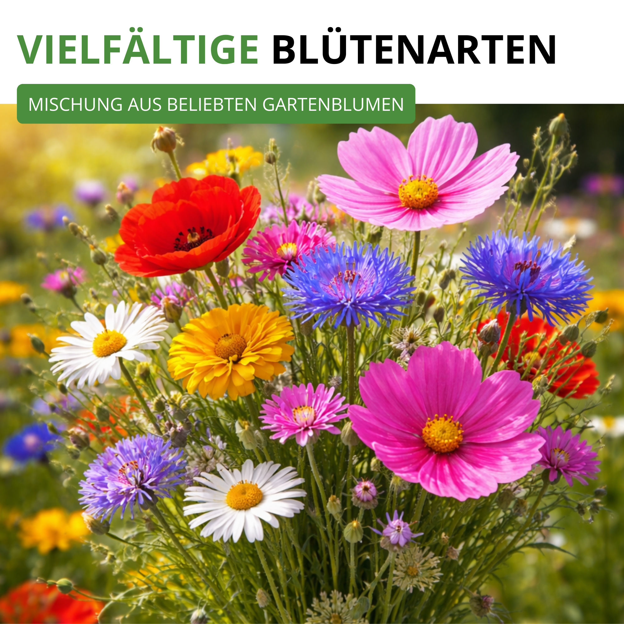 Bienenweide Blumenmischung 100 g